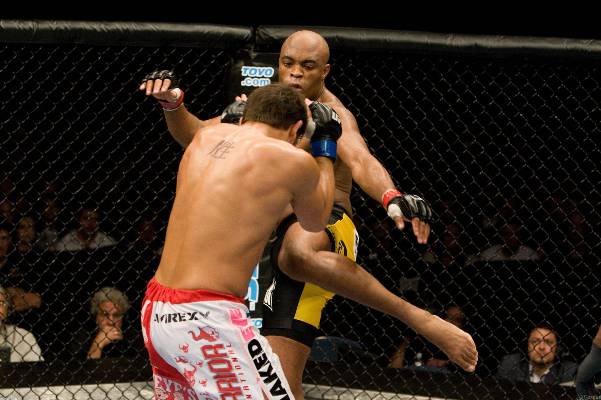 Anderson Silva About To Kick Opponent Background