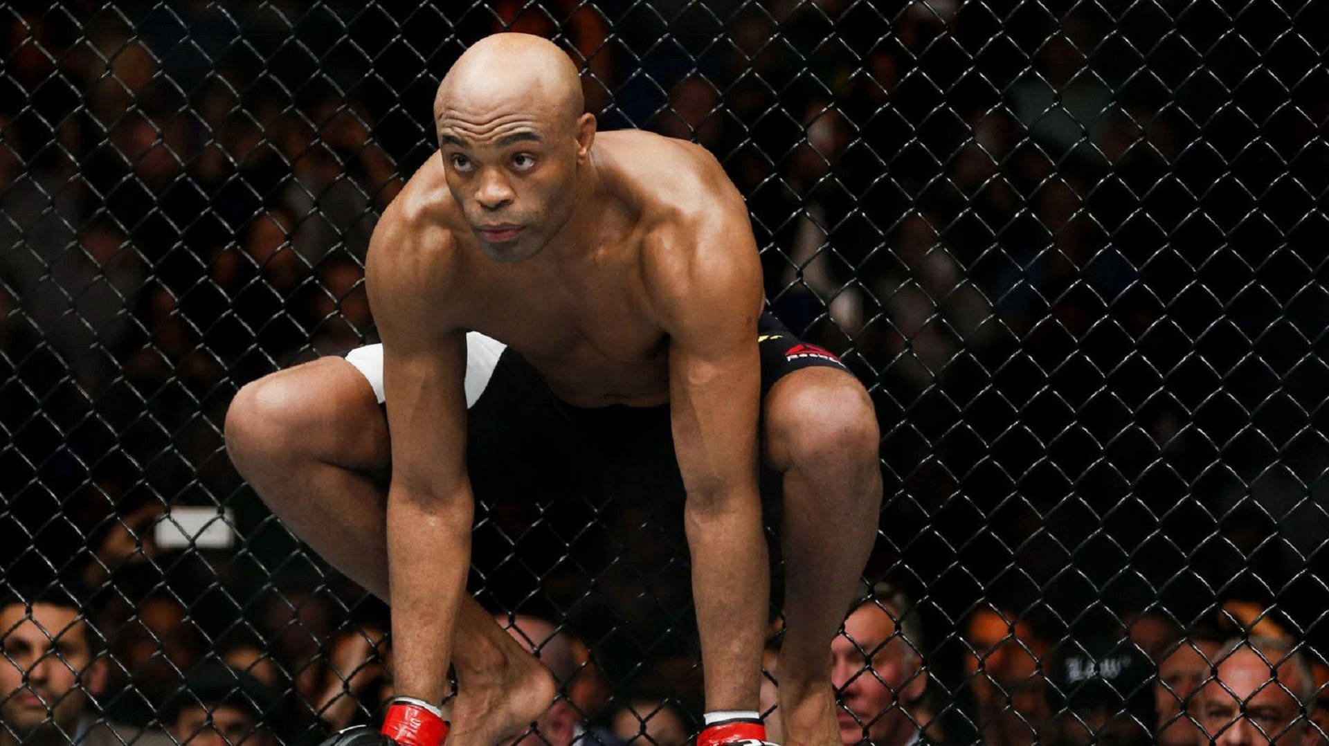 Anderson Silva Fists Ground Background