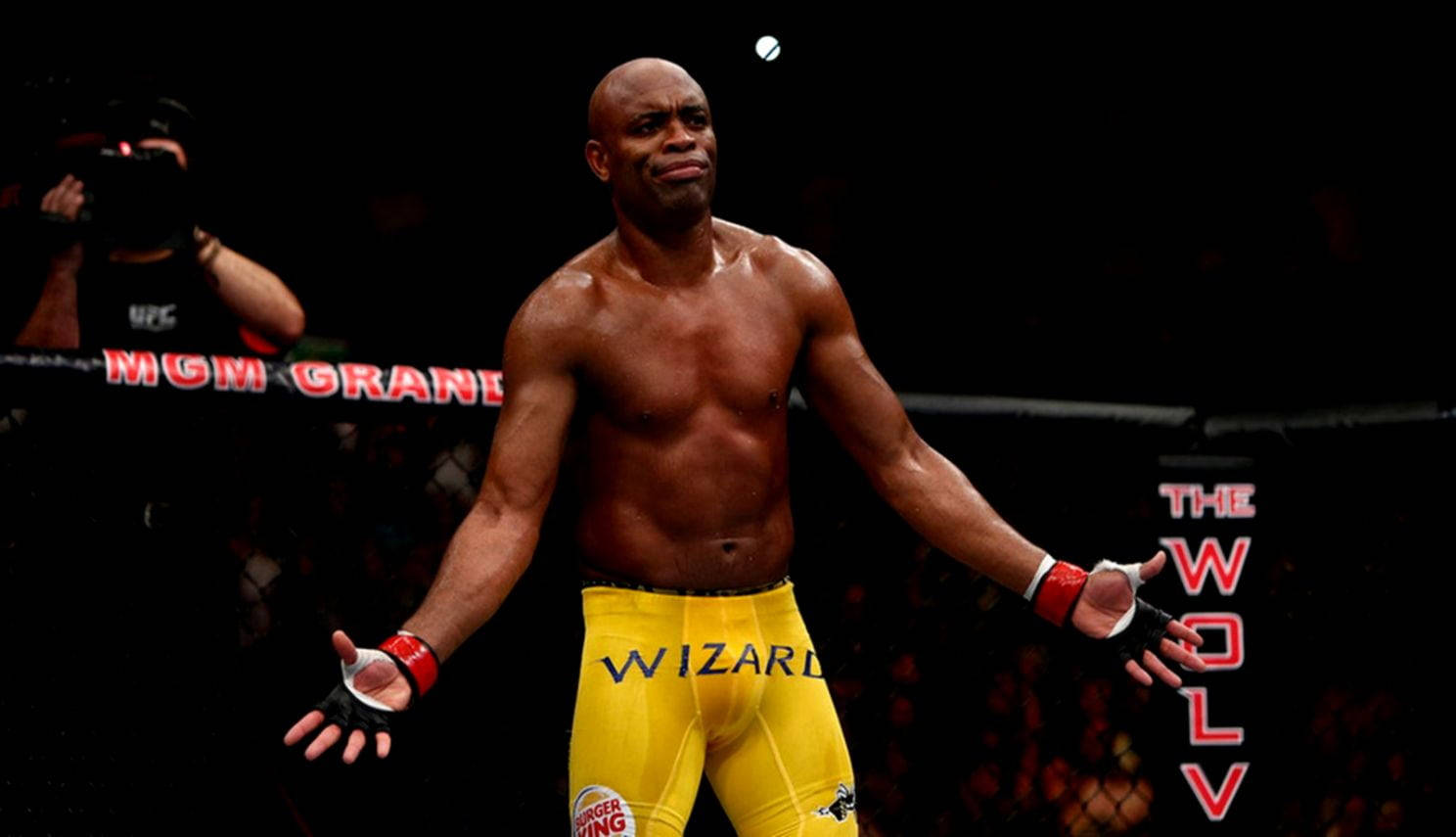 Anderson Silva Hands Apart