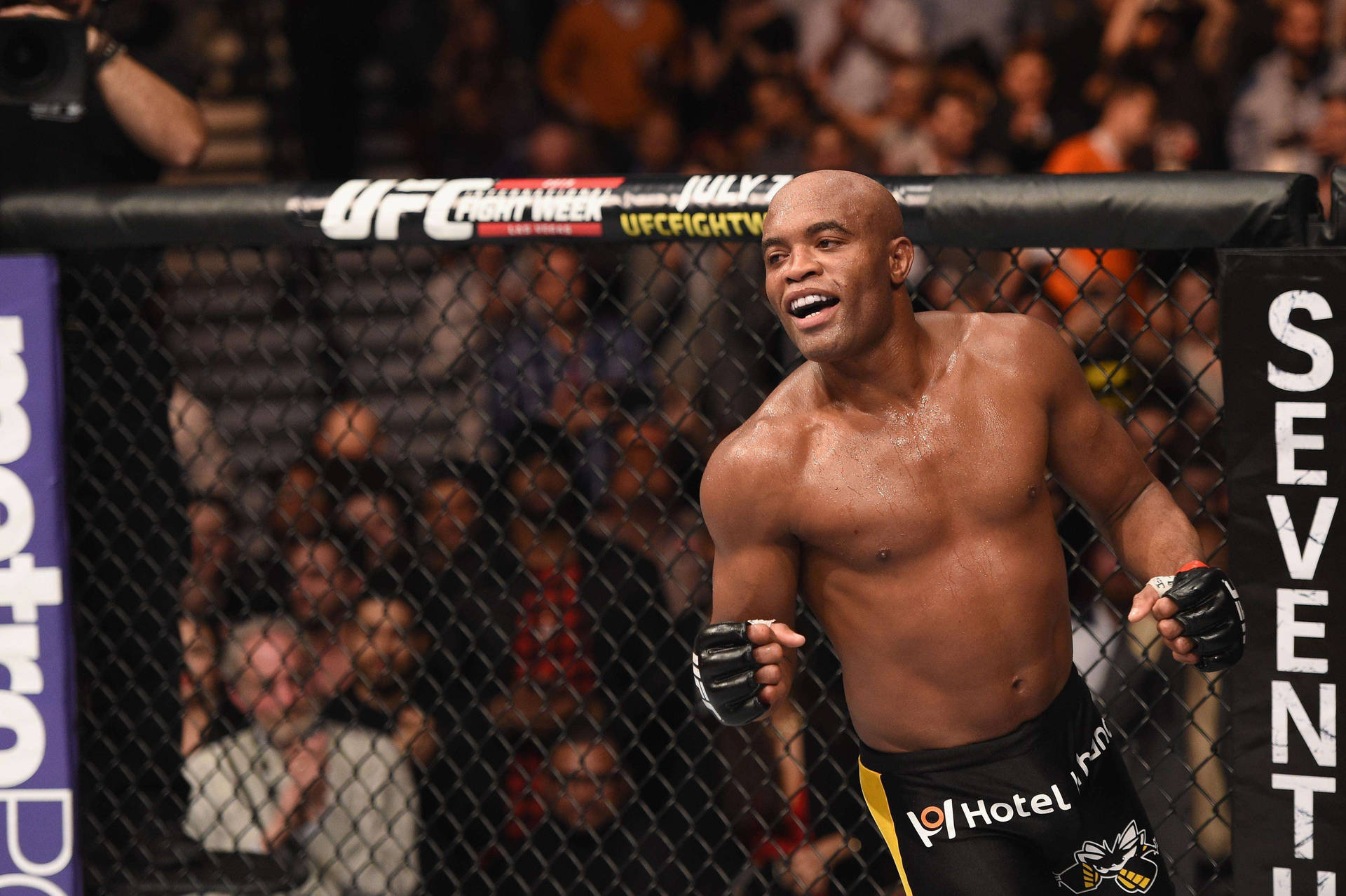 Anderson Silva Happy Inside Octagon. Background