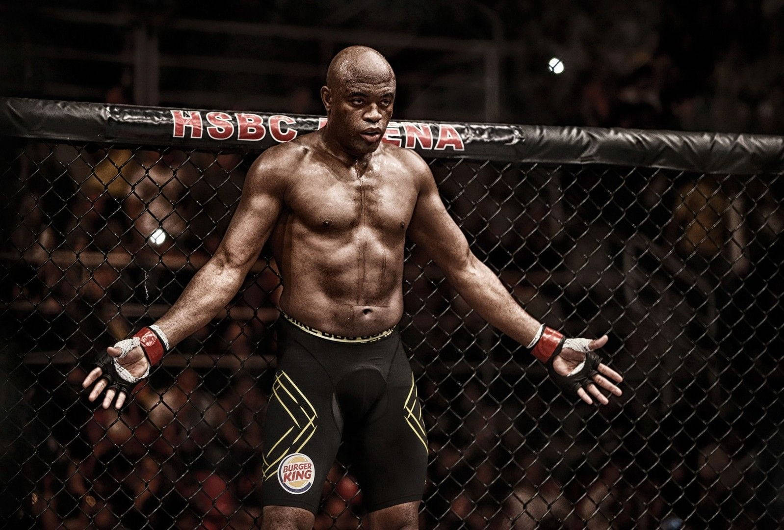 Anderson Silva Hsbc Arena Background