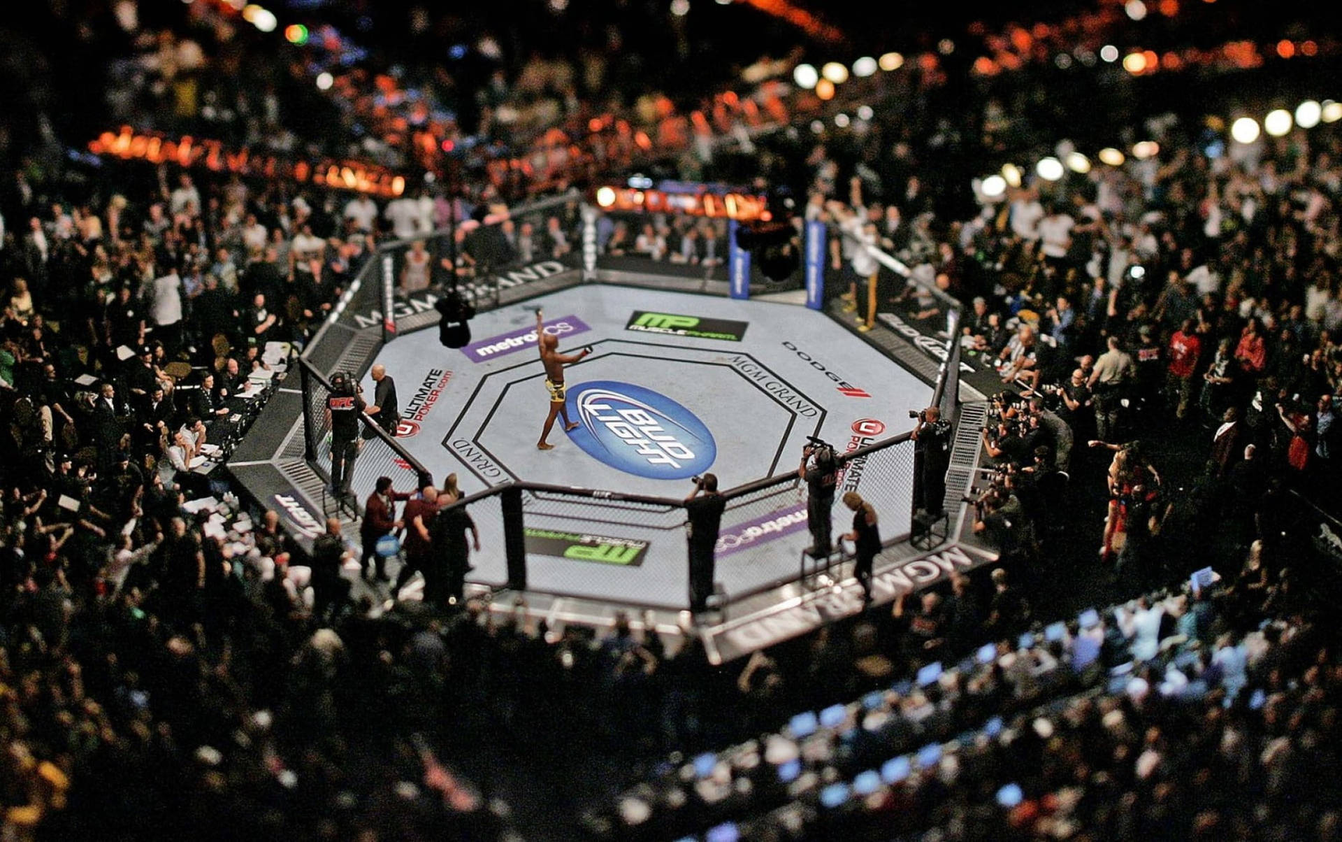 Anderson Silva Overhead Octagon Background