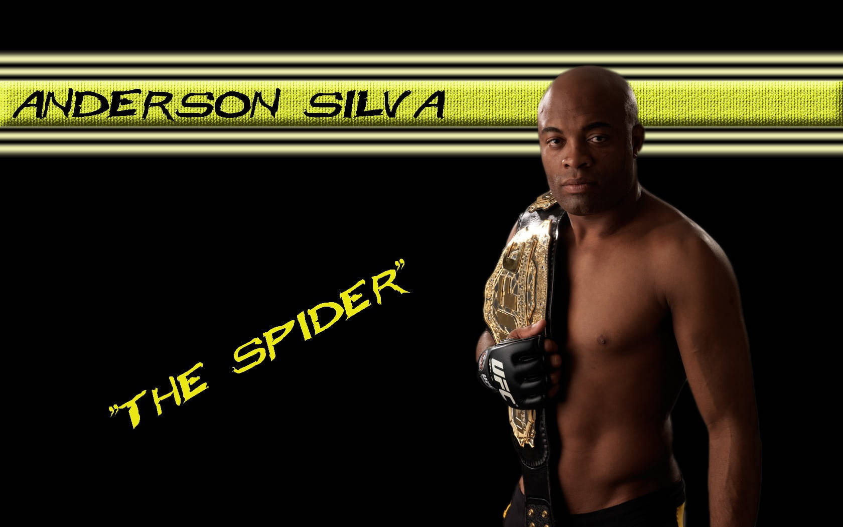 Anderson Silva The Spider Background