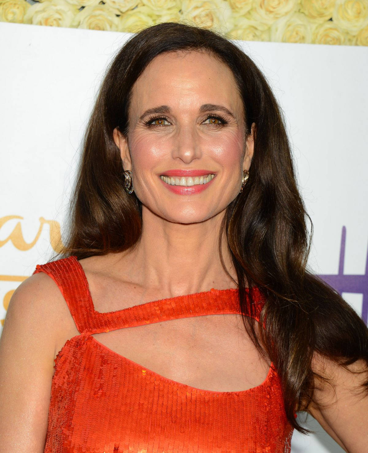 Andie Macdowell Hallmark Actress Summer Tca 2015 Background