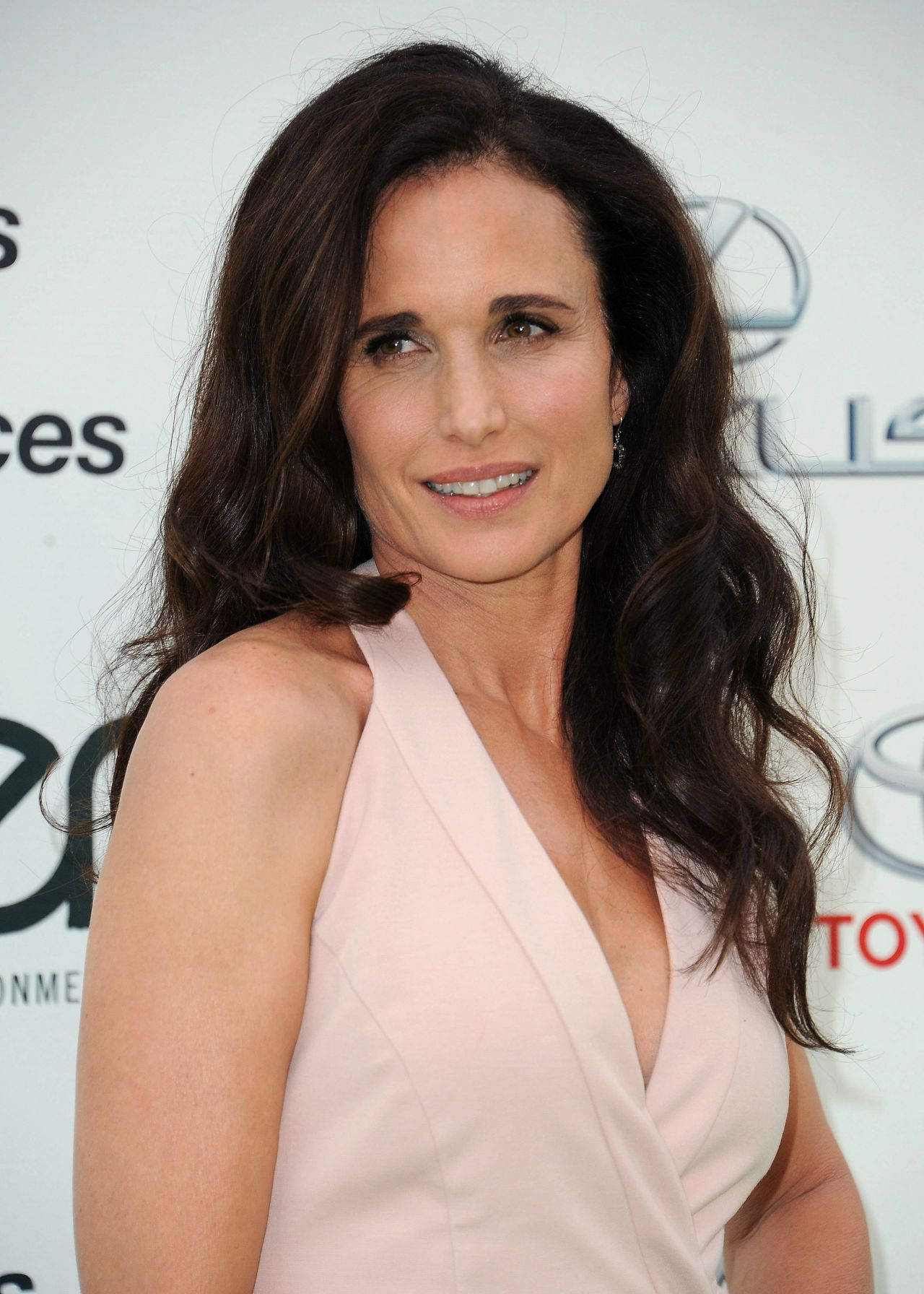 Andie Macdowell In Pink Dress Background