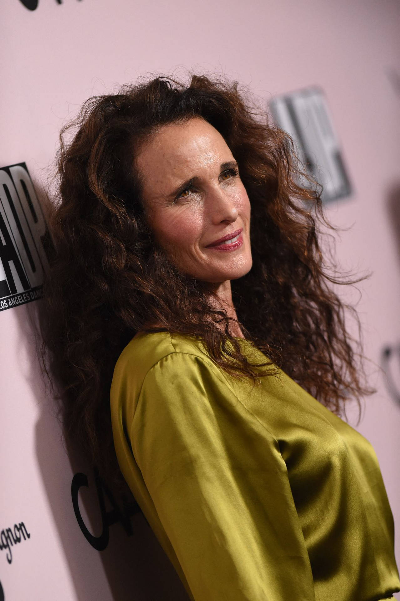 Andie Macdowell La Dance Gala 2019