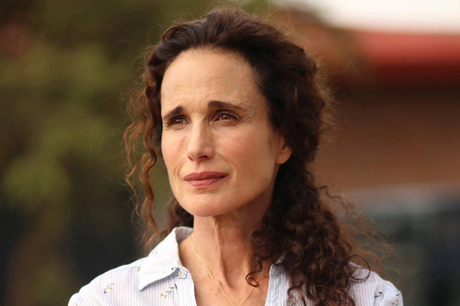 Andie Macdowell No Man's Land Background