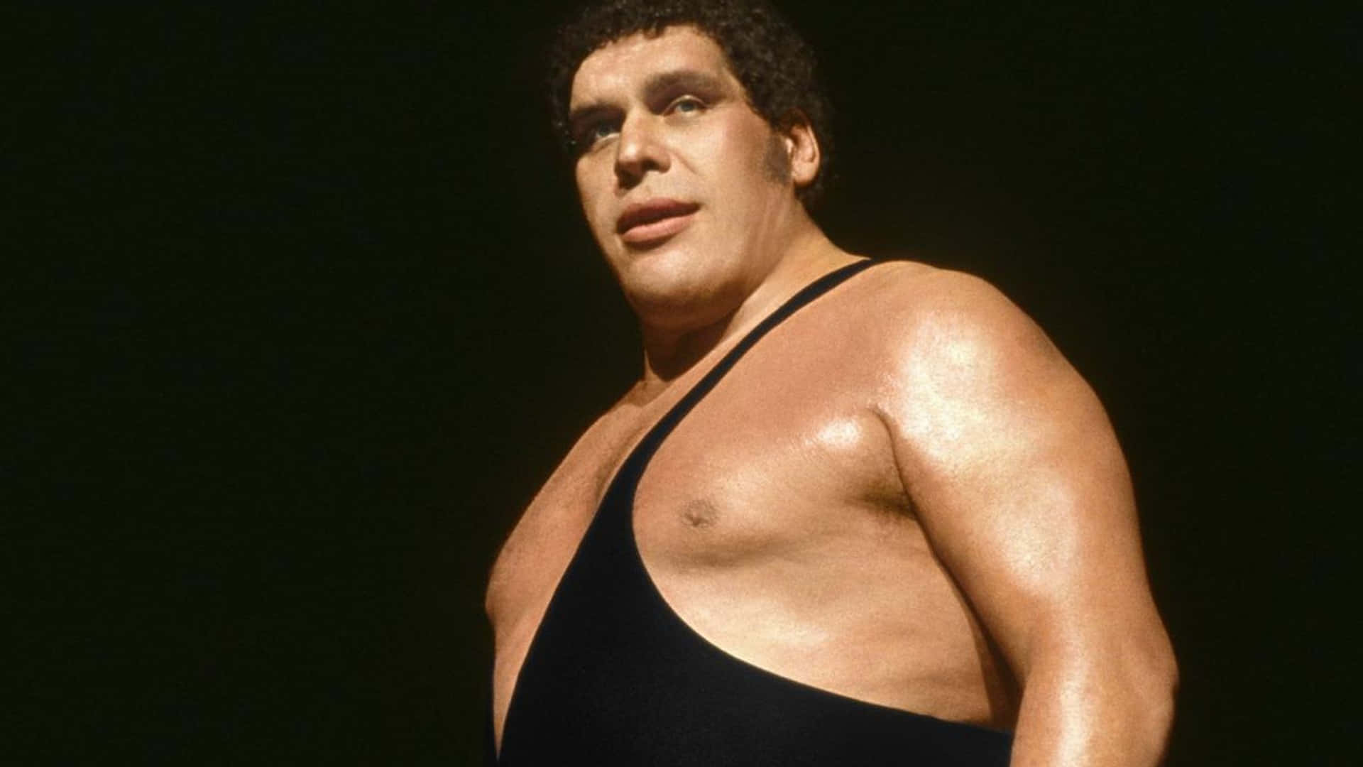 Andre The Giant Dominating The Wrestling Ring Background