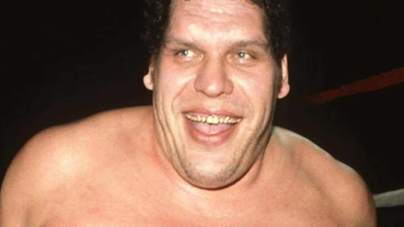 Andre The Giant Heavyweight Champion Wrestler