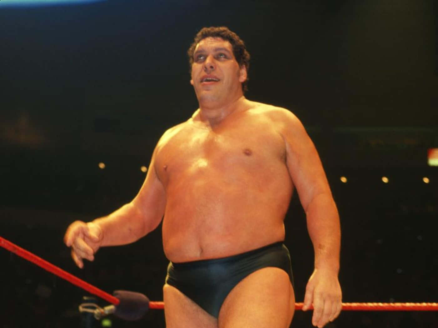 Andre The Giant Iconic Wrestling Superstar Background