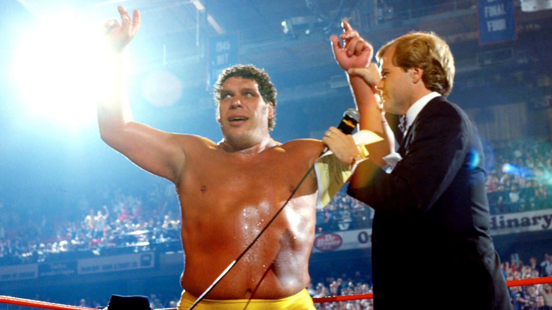 Andre The Giant Wrestlemania 2 Winner