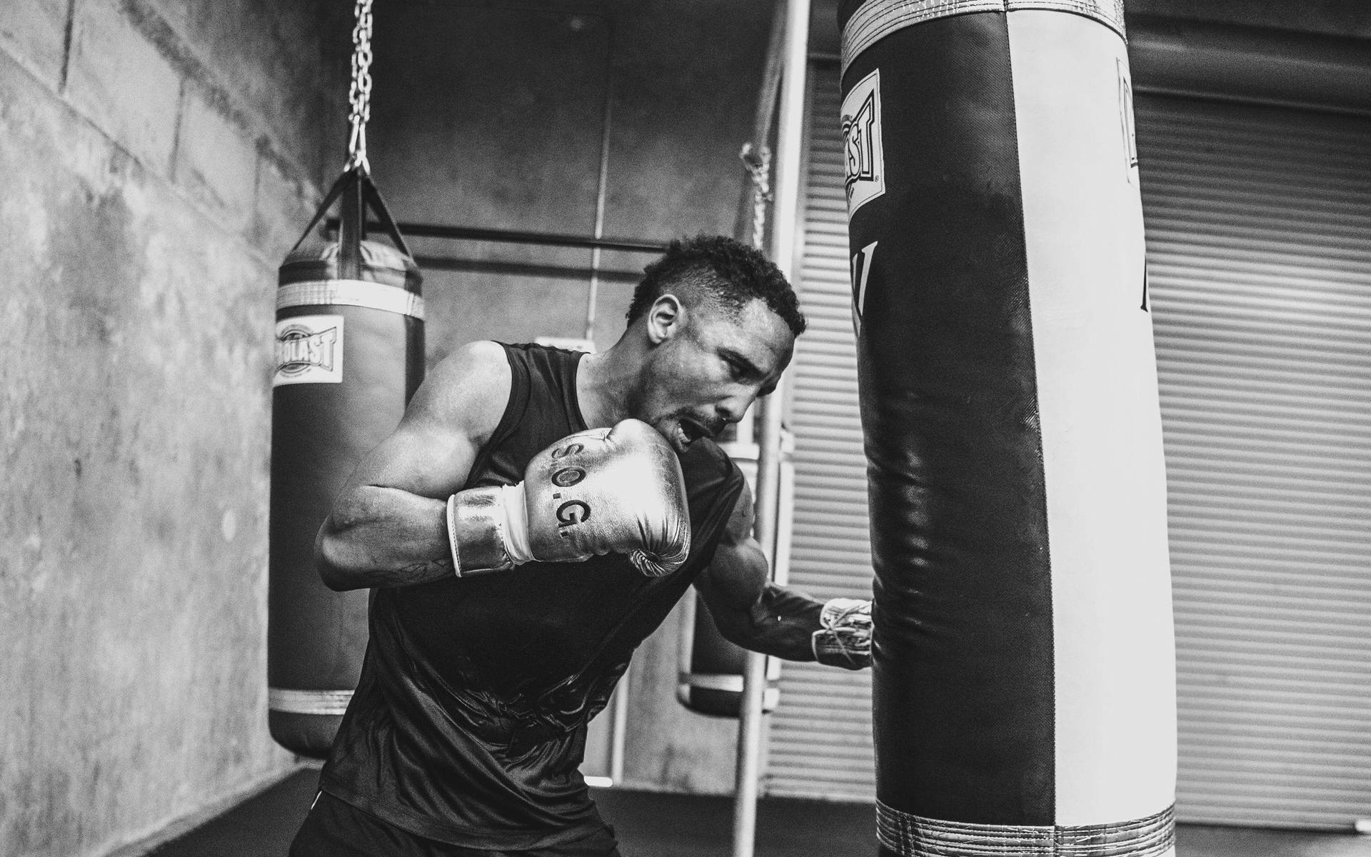 Andre Ward Training Background