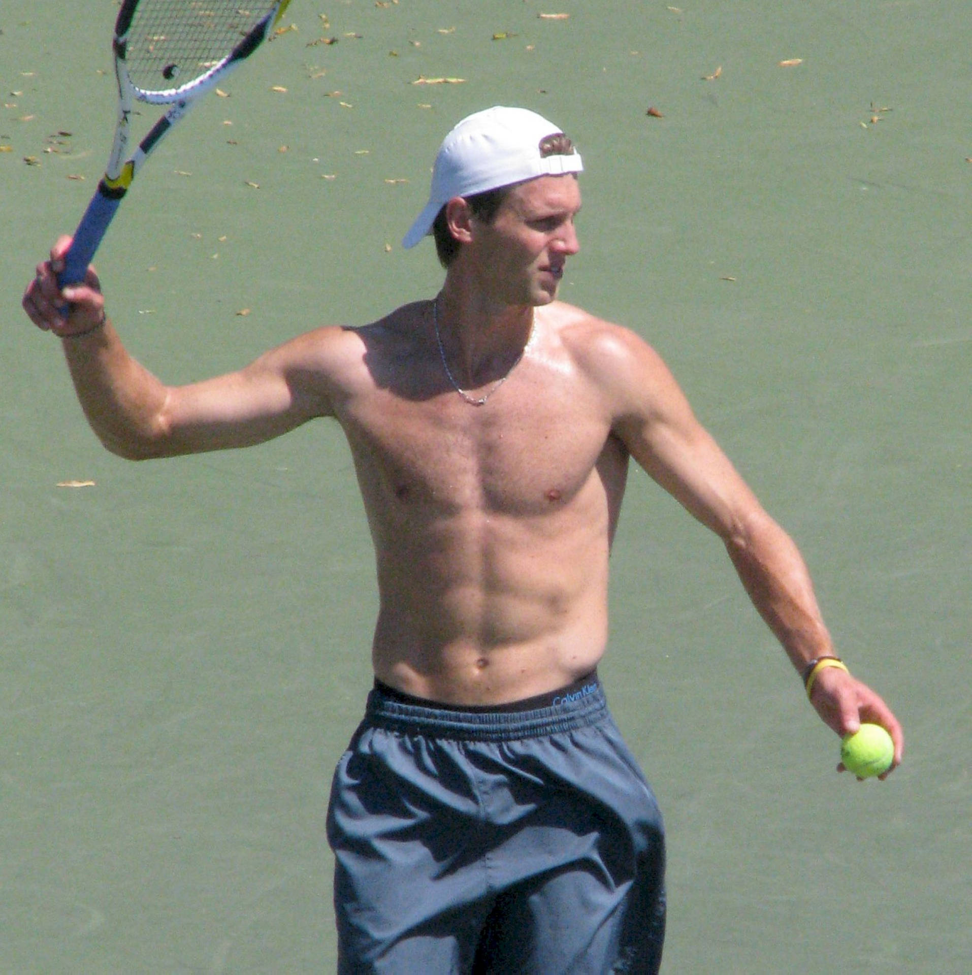 Andreas Seppi Shirtless