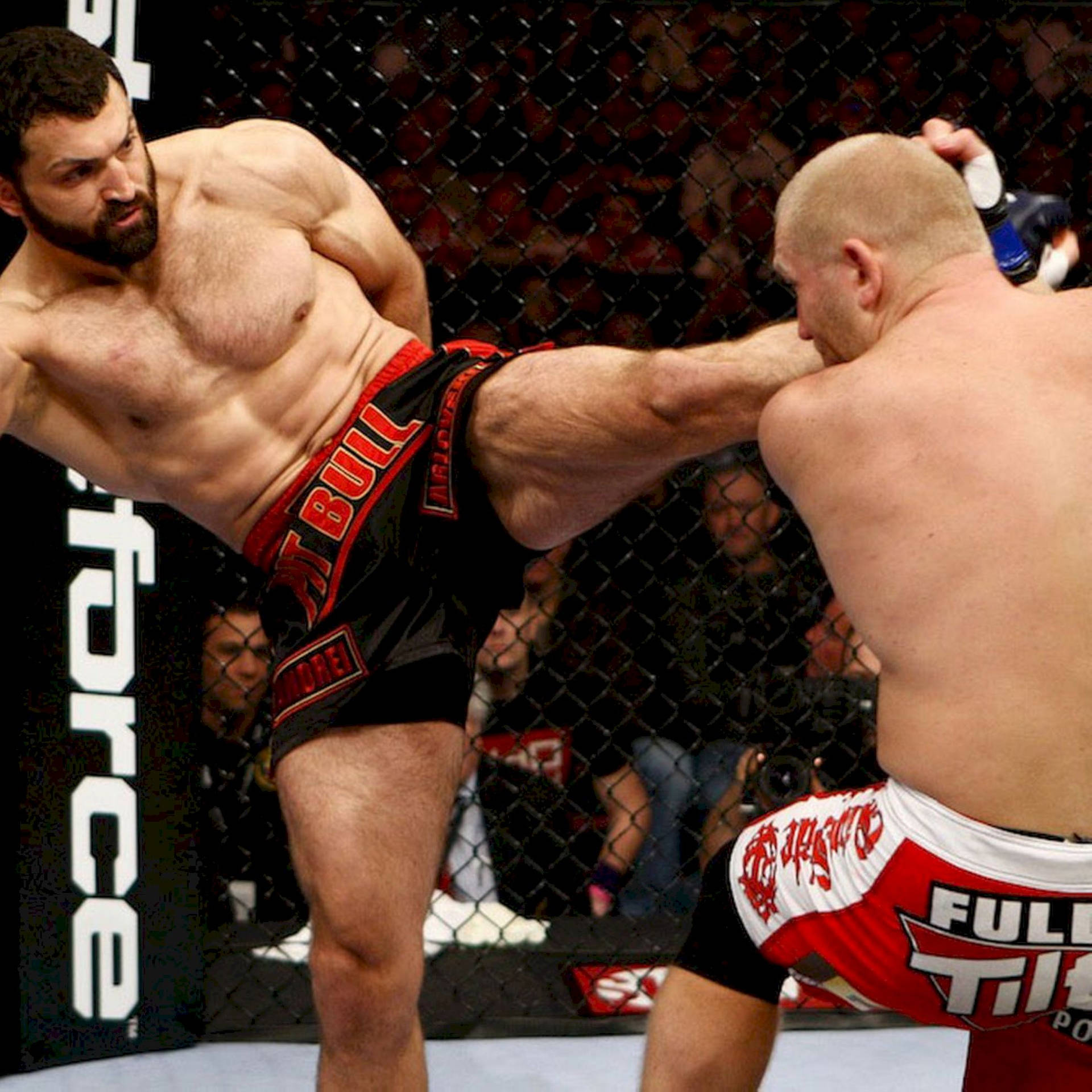 Andrei Arlovski And Alistair Overeem Background