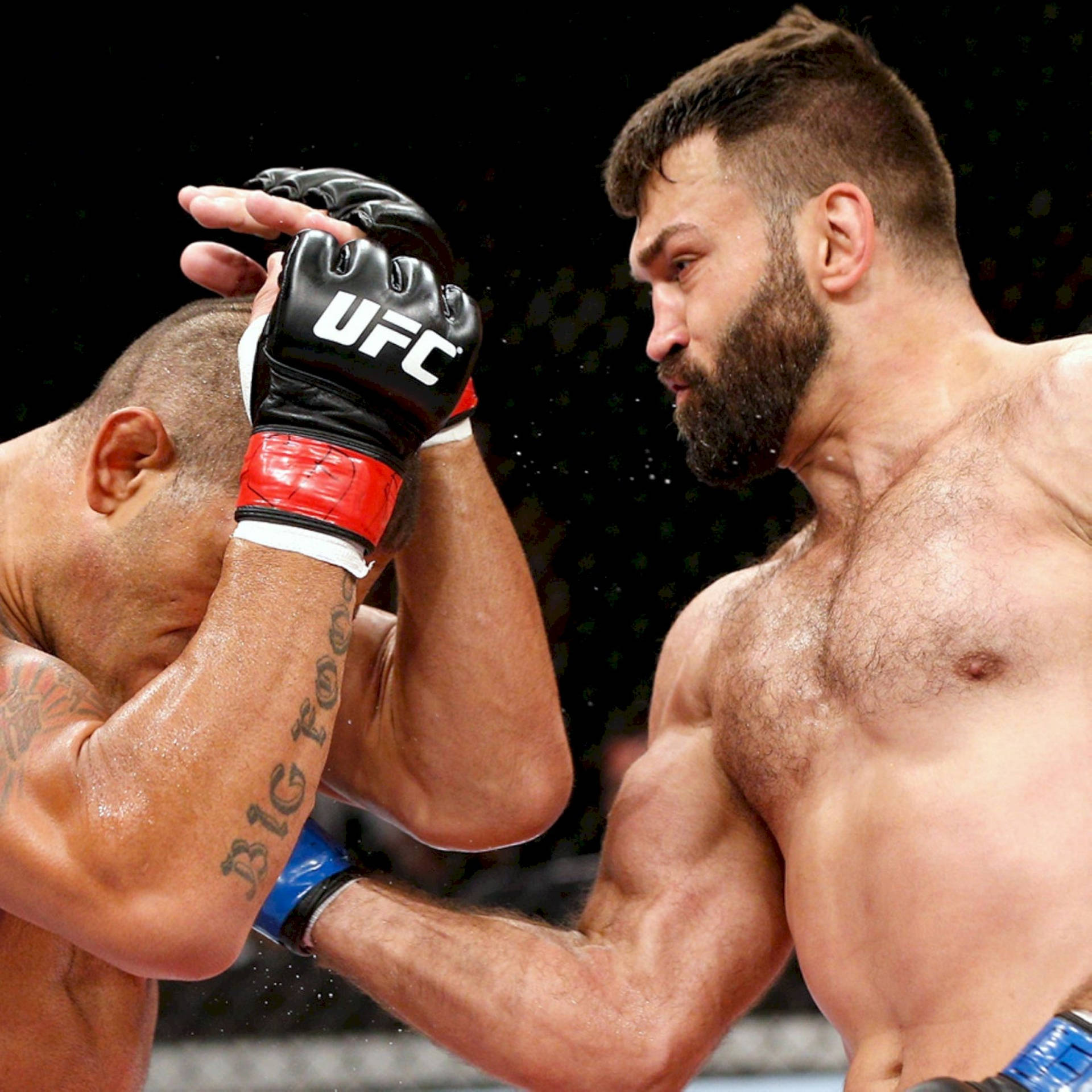 Andrei Arlovski And Antonio ‘bigfoot’ Silva Background