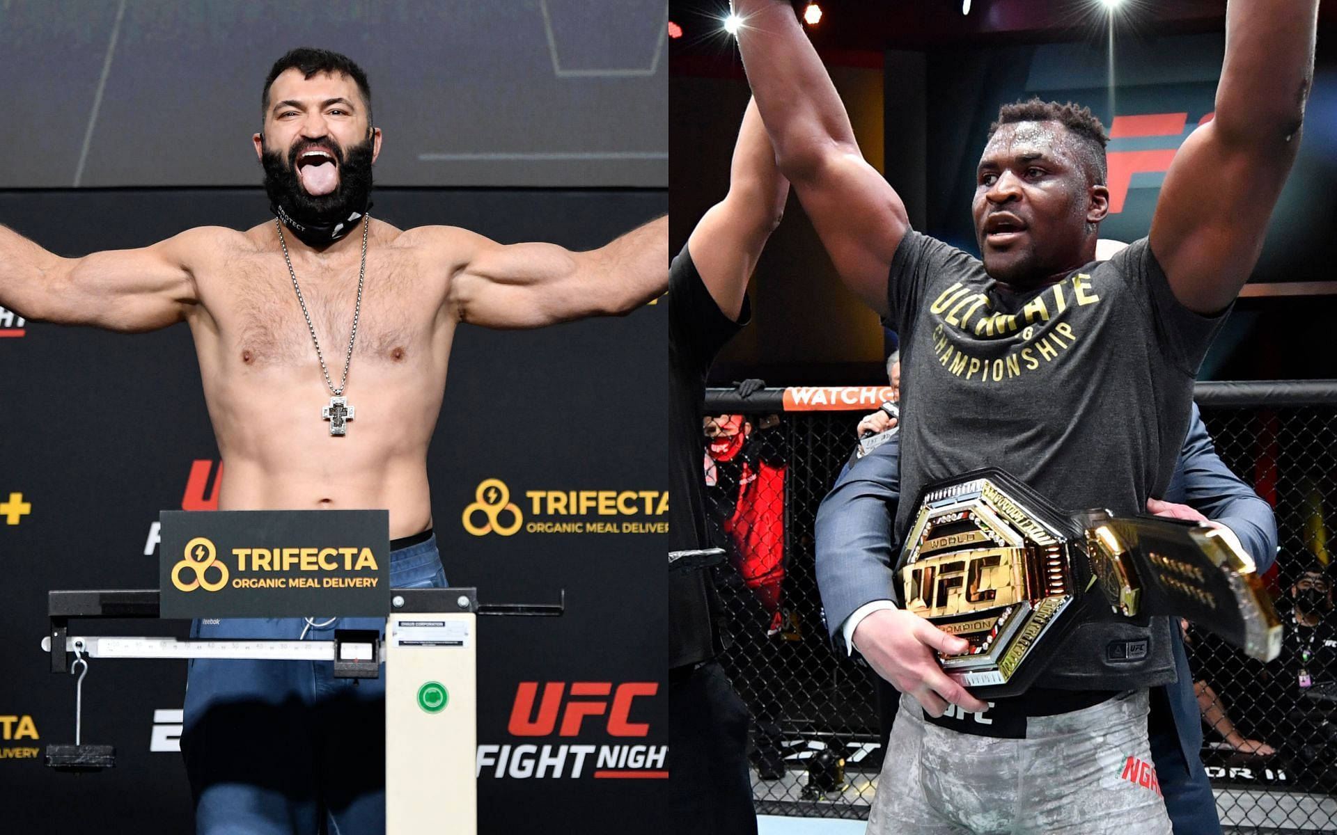 Andrei Arlovski And Francis Ngannou Martial Artist Background