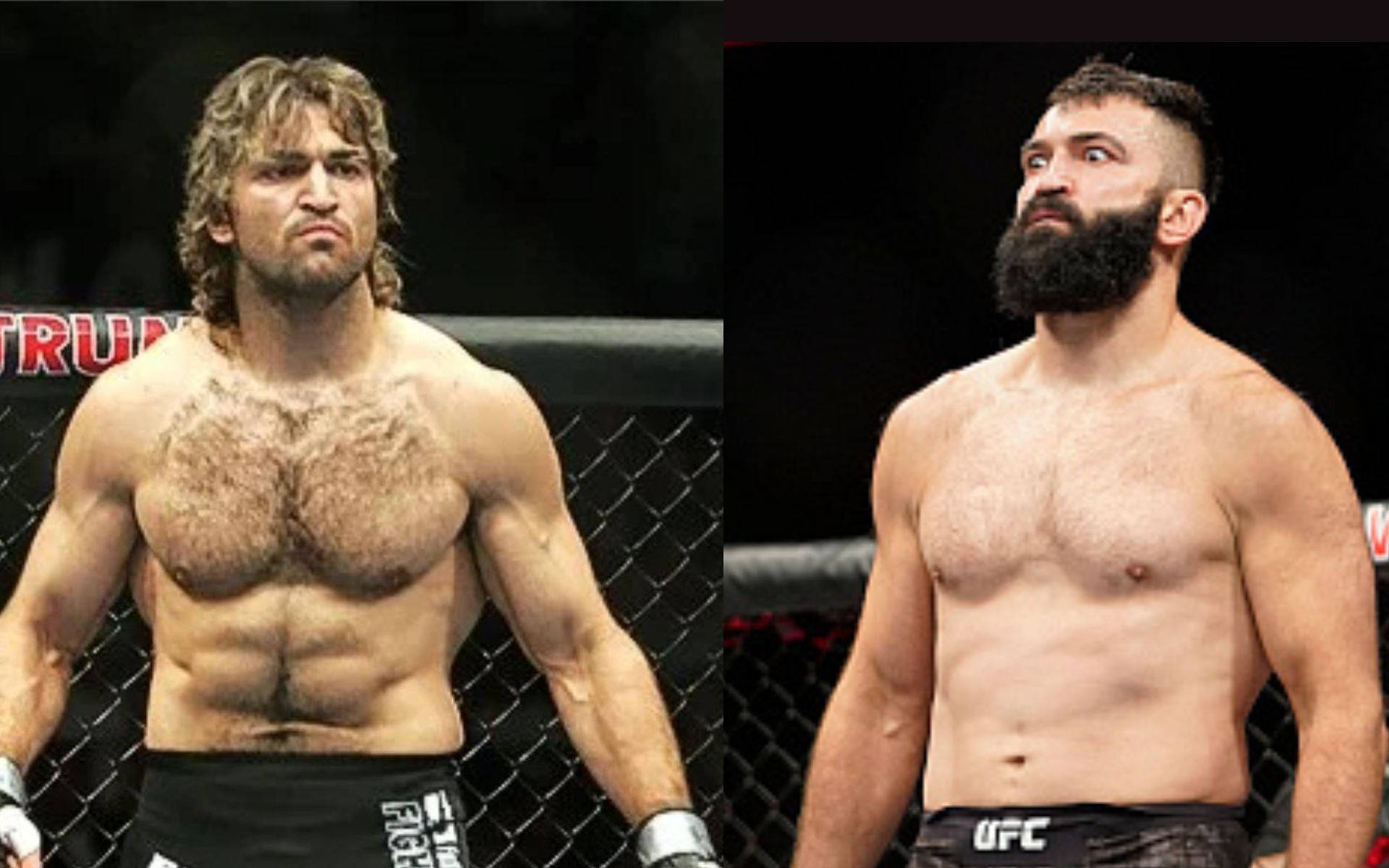 Andrei Arlovski And His Opponent Background