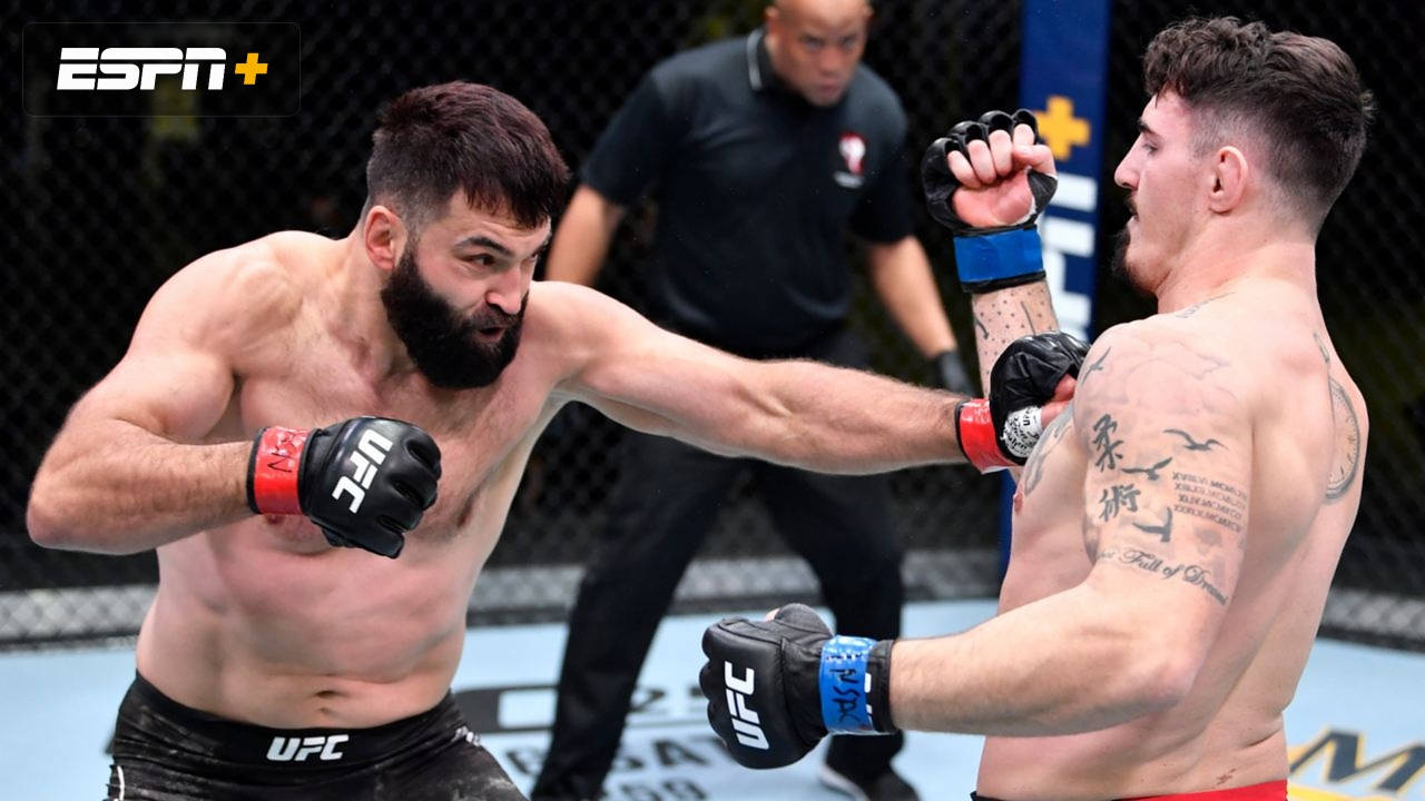 Andrei Arlovski And Jared Vanderaa Background