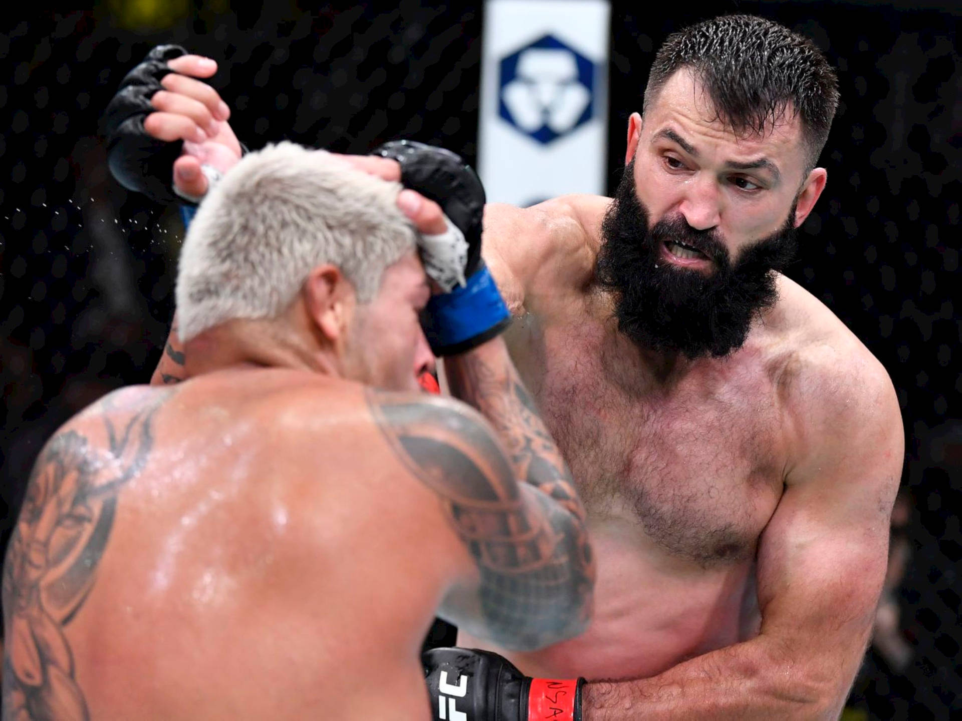 Andrei Arlovski And Jared Vanderaa Background