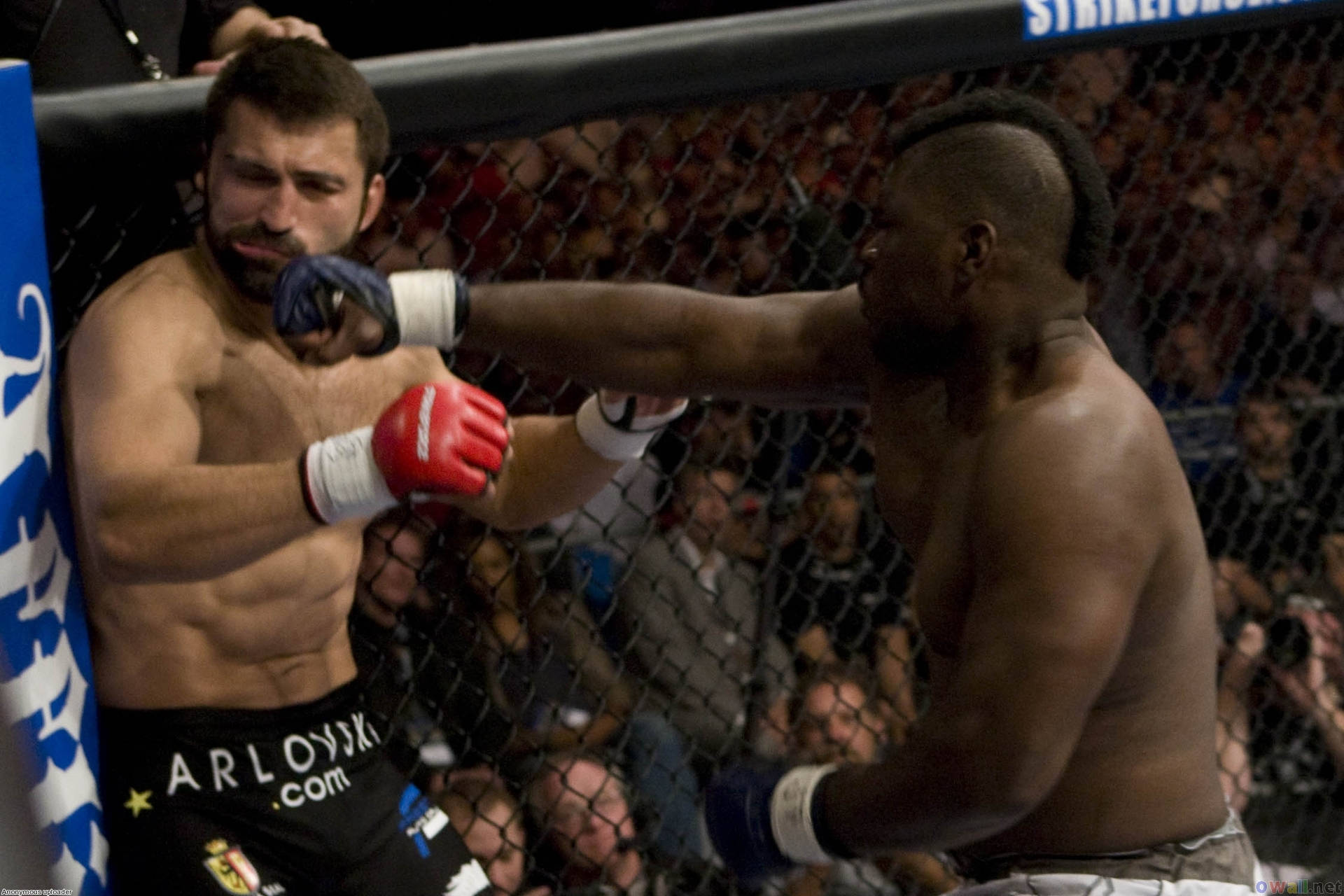 Andrei Arlovski And Mma Fighter Background