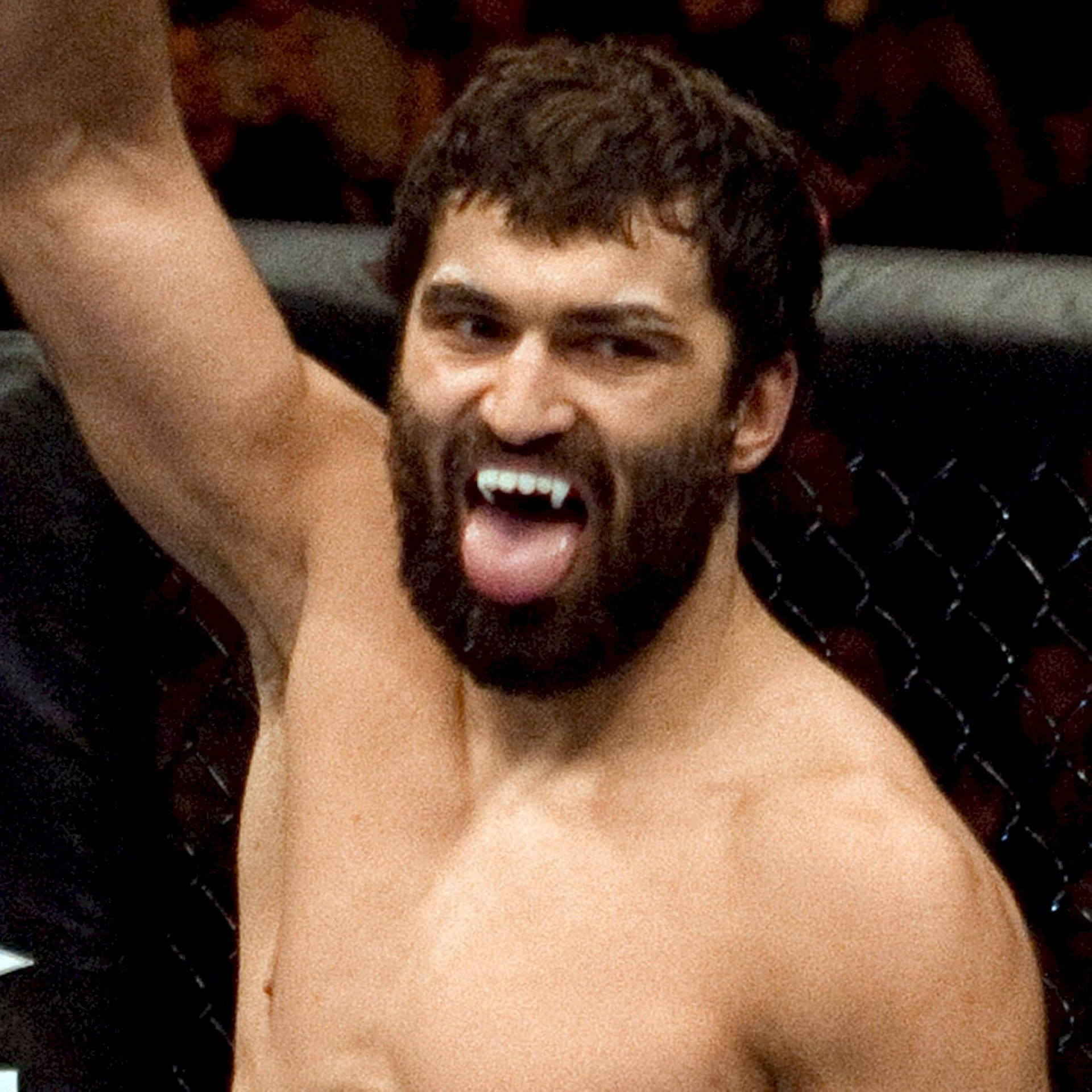 Andrei Arlovski Former Heavyweight Champion Background