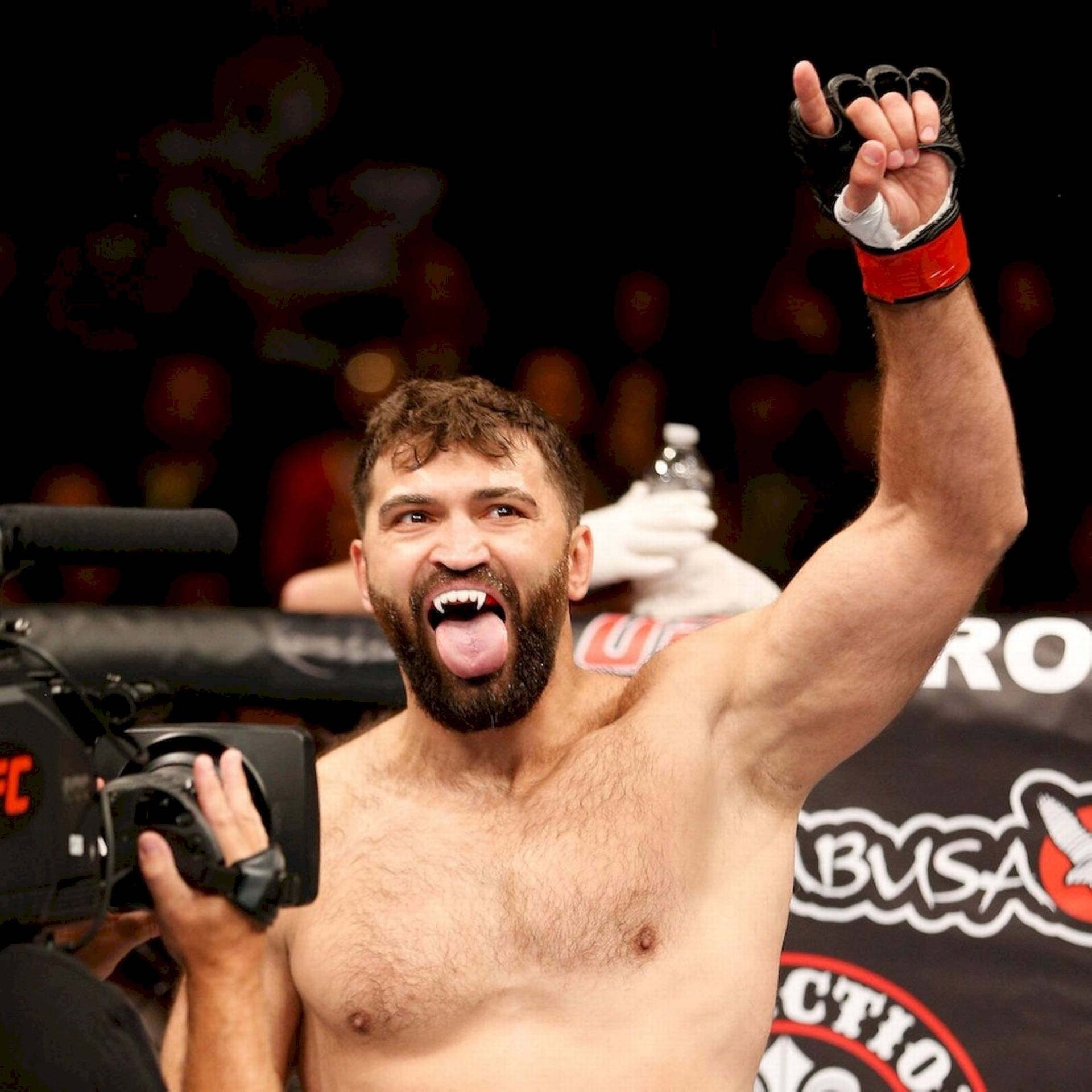 Andrei Arlovski Ufc Rotterdam Background