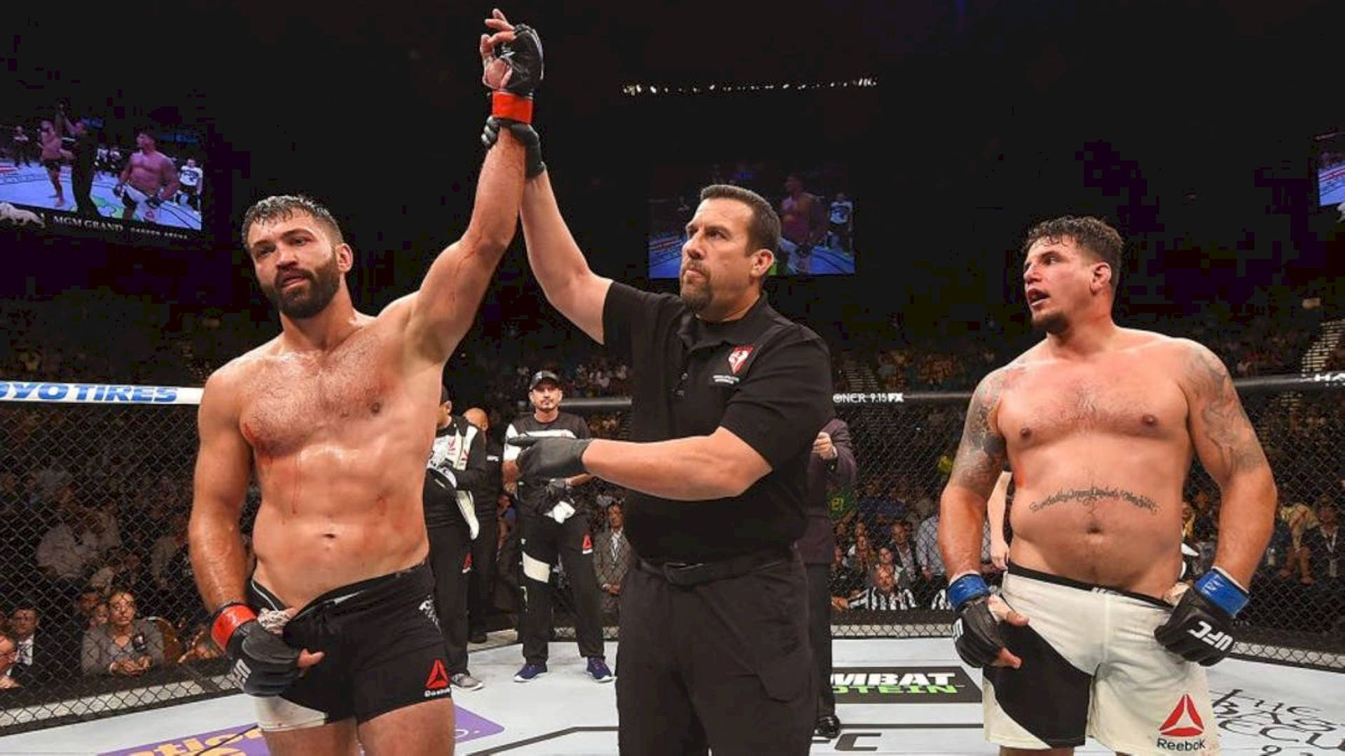 Andrei Arlovski Winning In Five-round Rematch Background