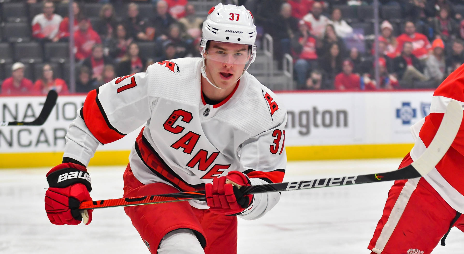 Andrei Svechnikov Ice Hockey Winger Background