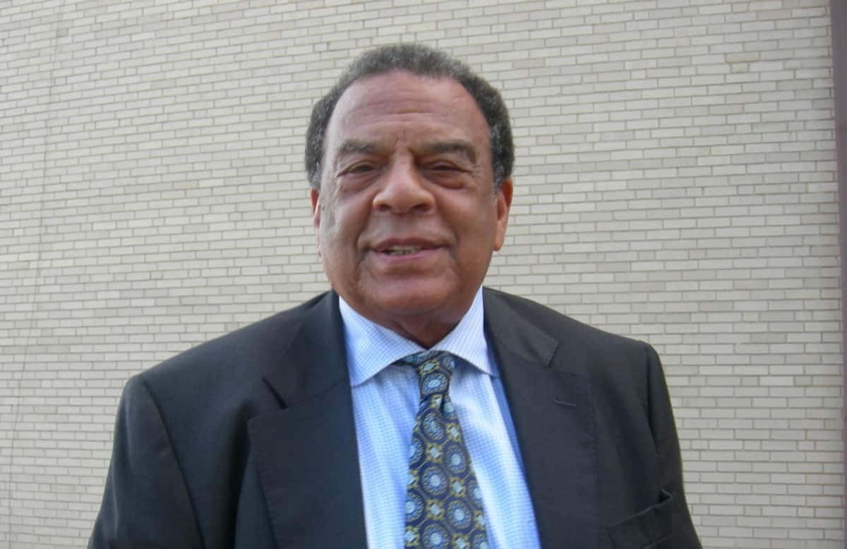 Andrew Young - Visionary In Leadership Background