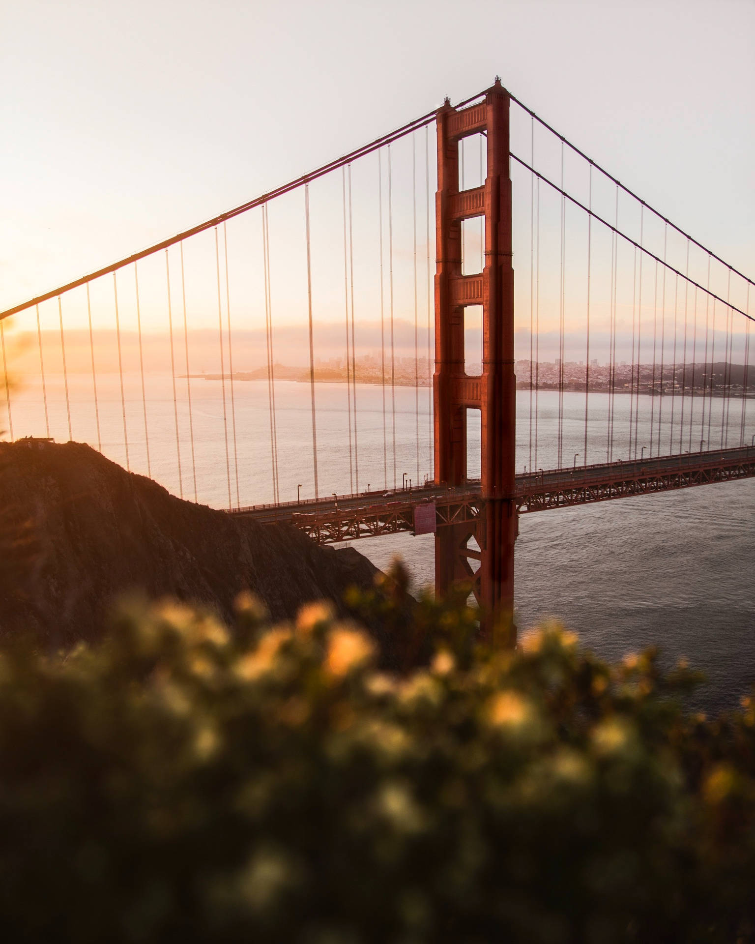Android Golden Gate Bridge Background