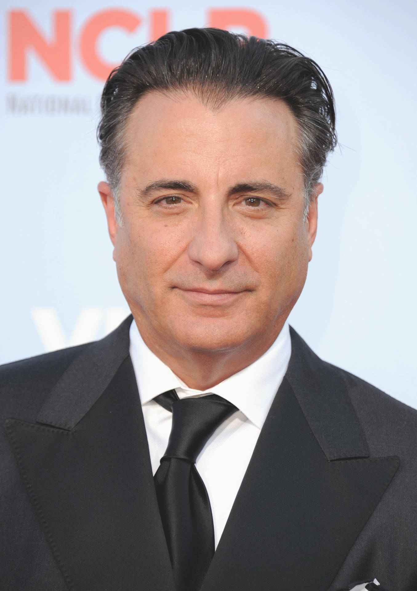 Andy Garcia Wearing Stylish Suit