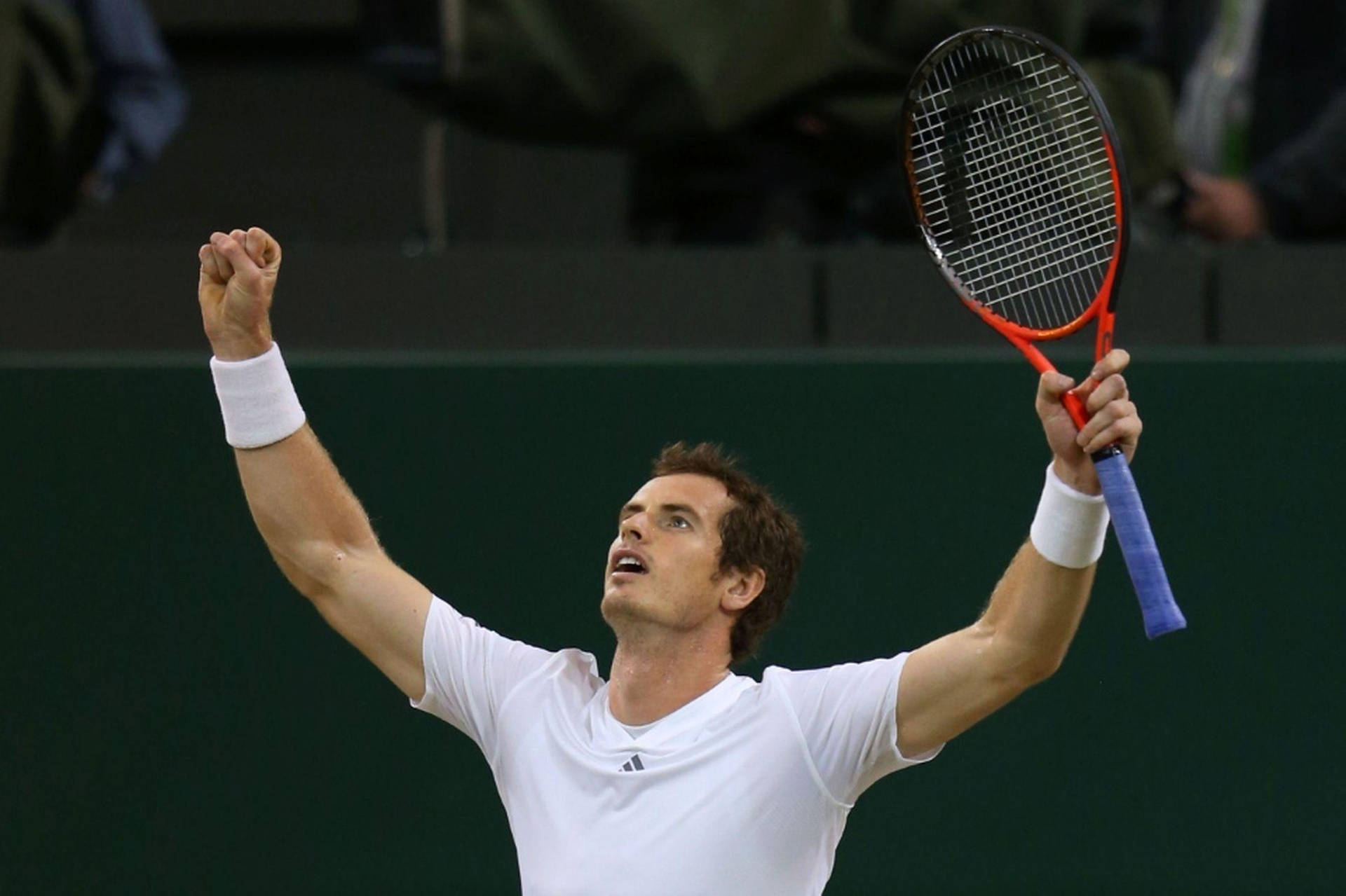 Andy Murray Arms Raised