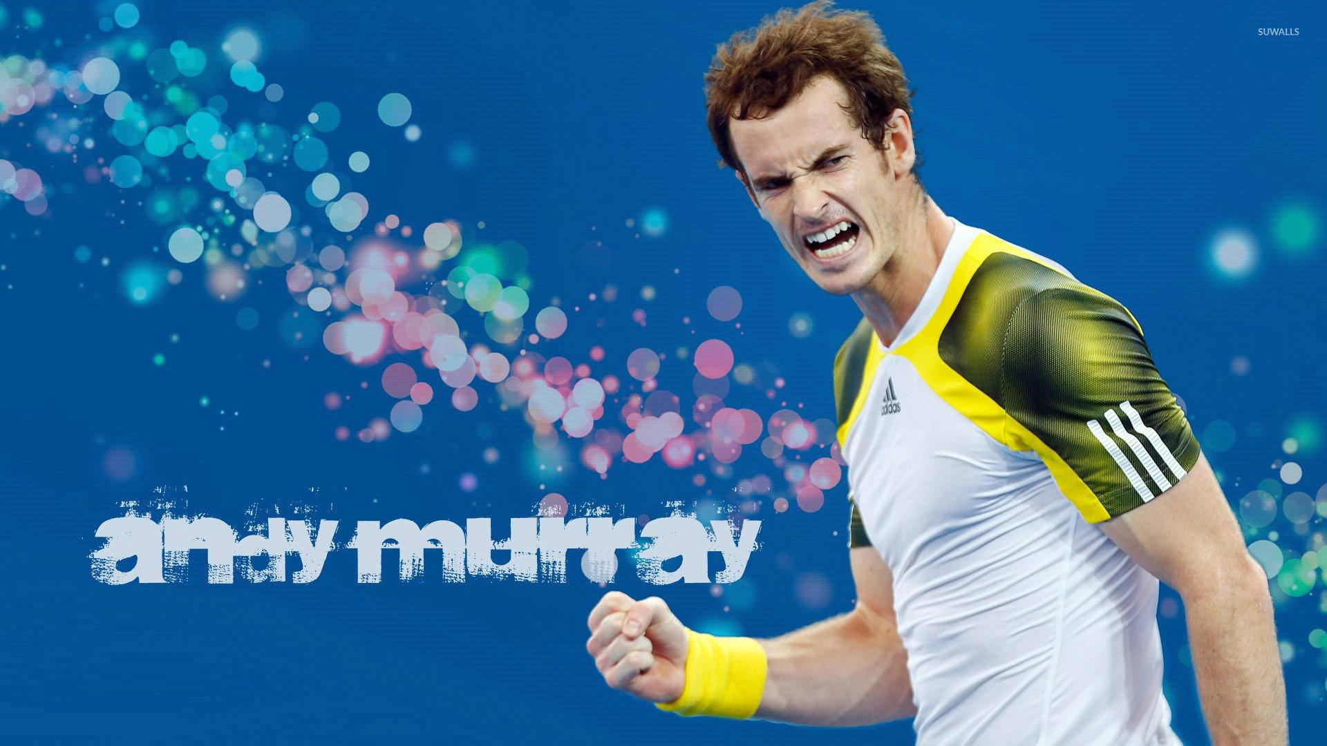 Andy Murray Colorful Fan Art Background