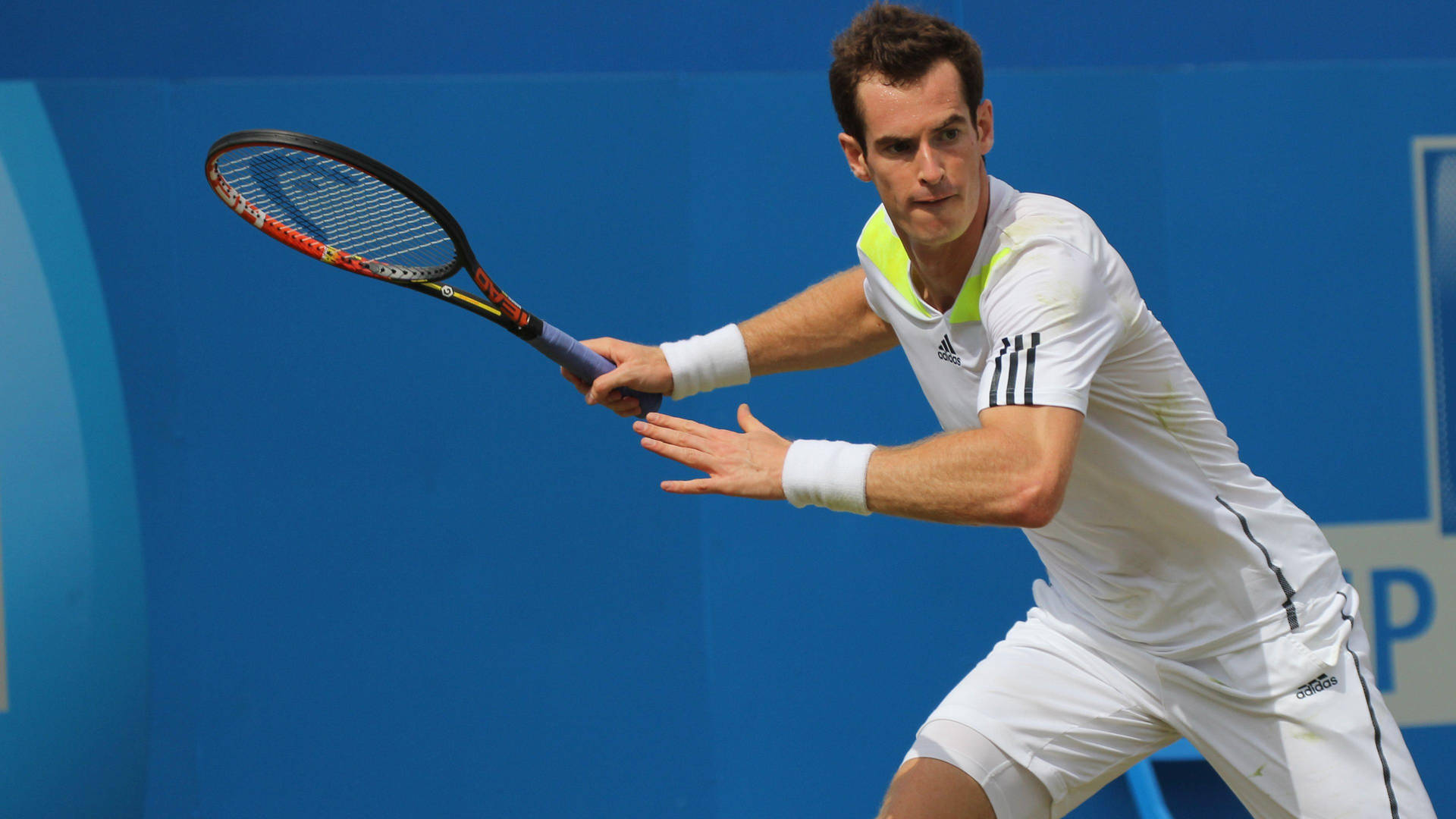 Andy Murray In Position To Hit Ball Background