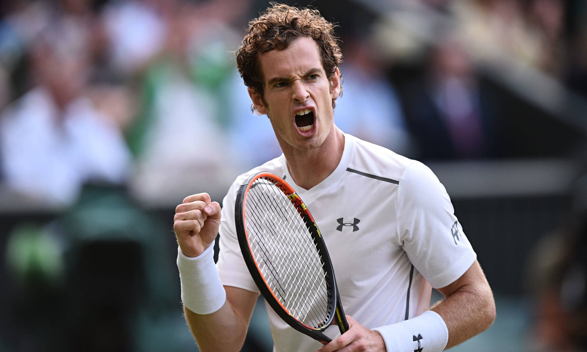 Andy Murray Passionately Celebrating A Victorious Moment Background