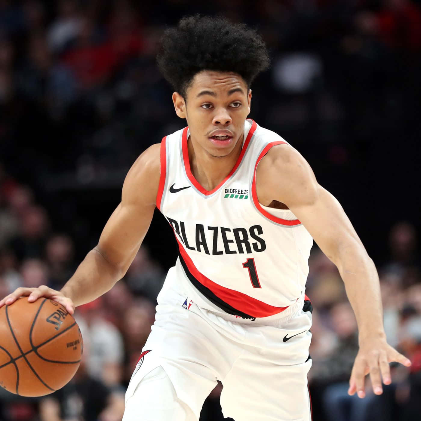 Anfernee Simons Portland Point Guard Background