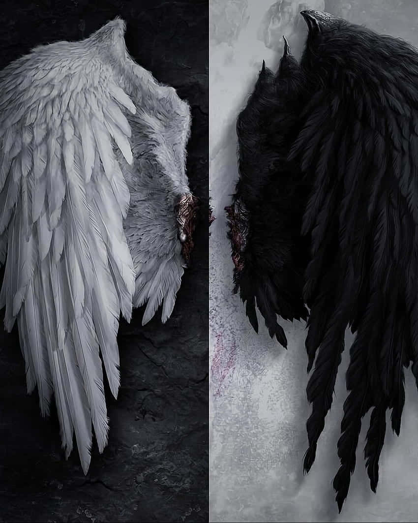 Angel Demon Wings Duality Background