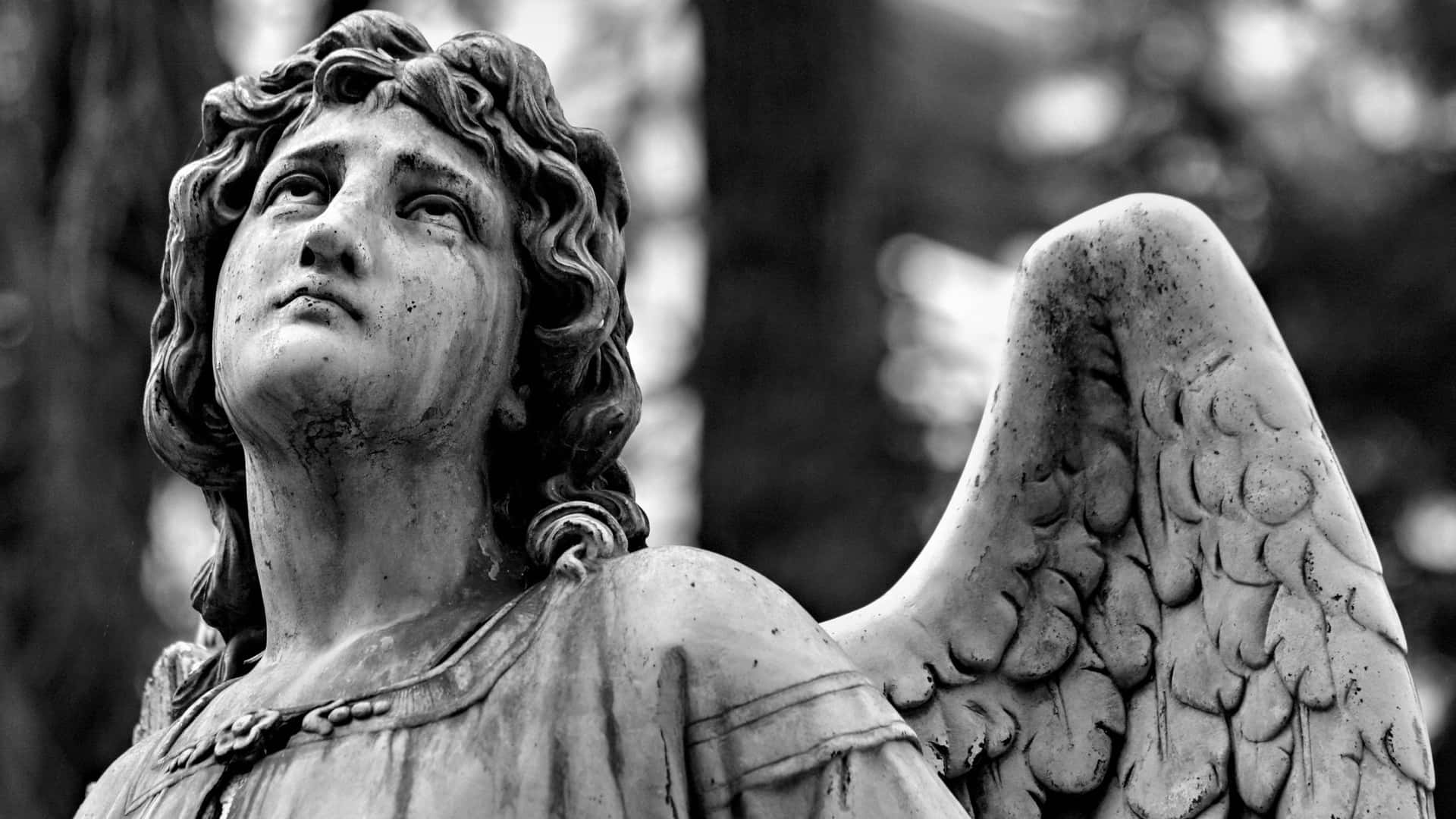 Angel Statue Blackand White Background