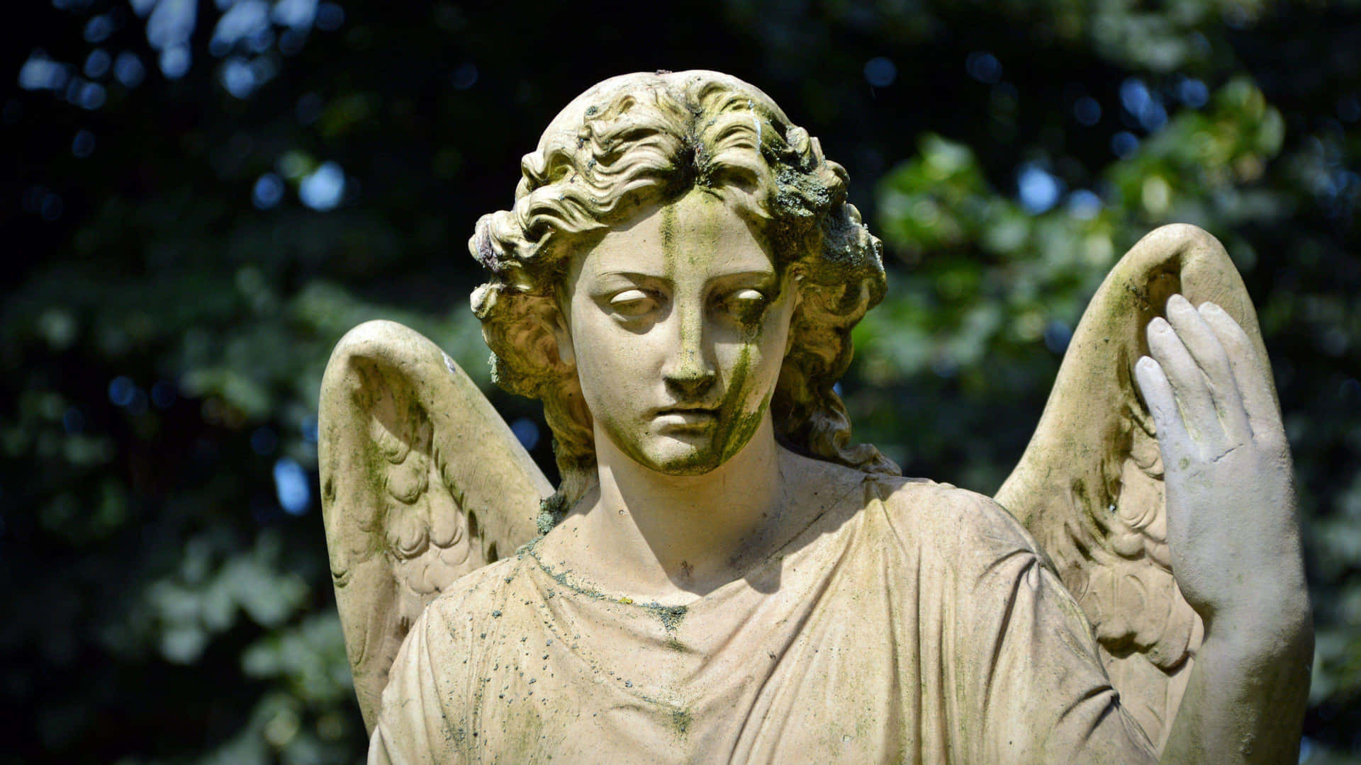 Angel Statue Serene Gaze Background