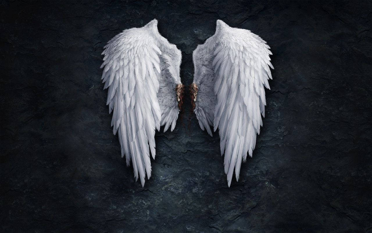 Angel White Wings Background