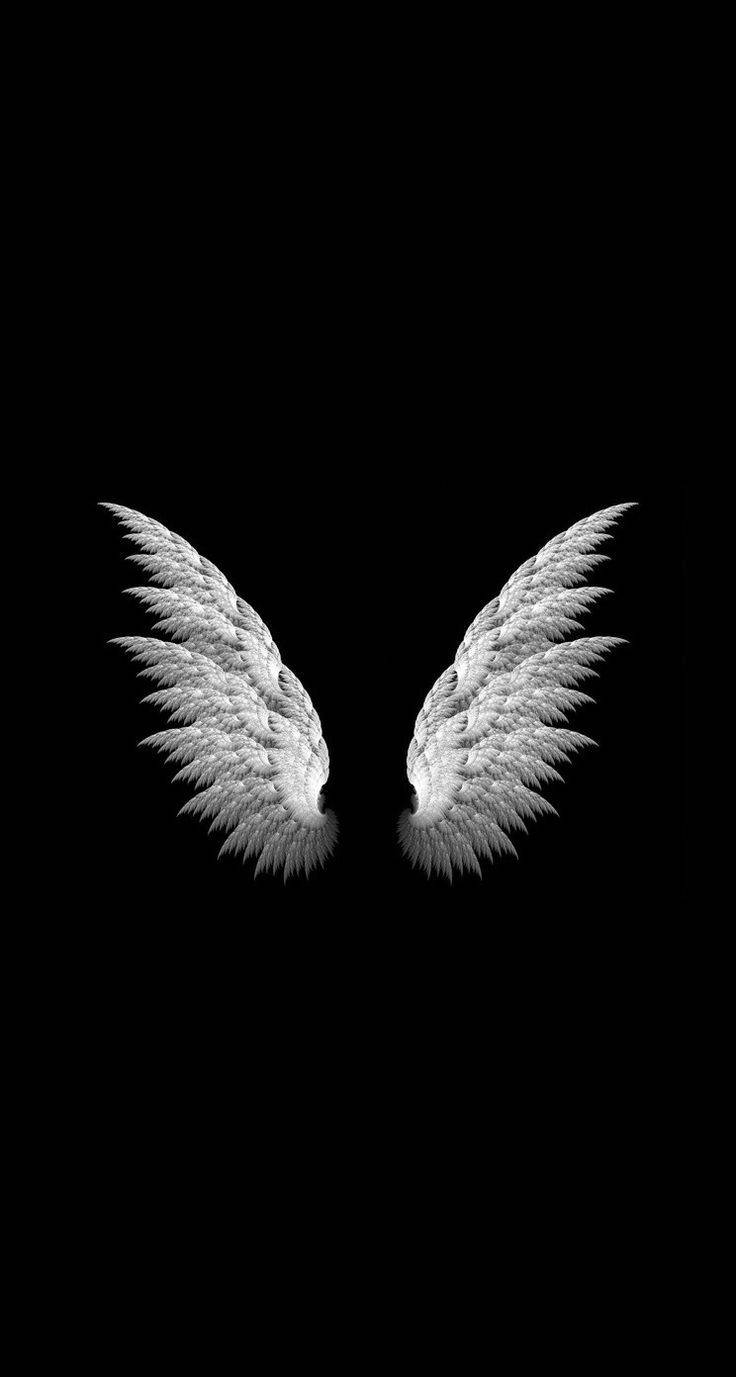Angel Wings Simple Iphone Background