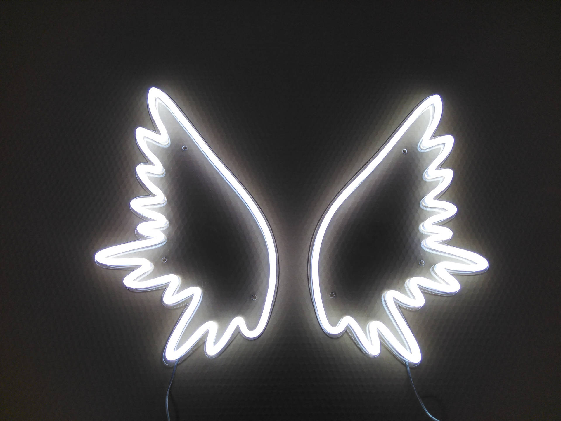 Angel Wings White Neon Aesthetic