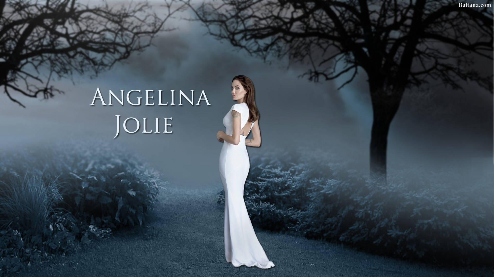 Angelina Jolie Forest Fanart Background
