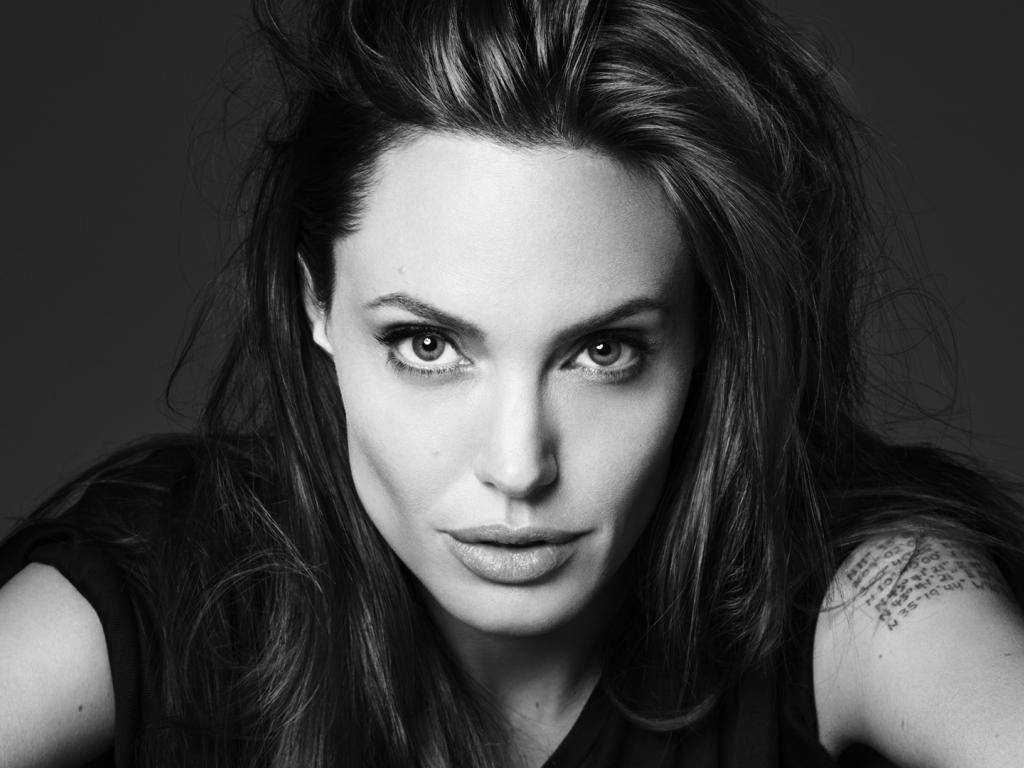 Angelina Jolie Monochrome Portrait Background