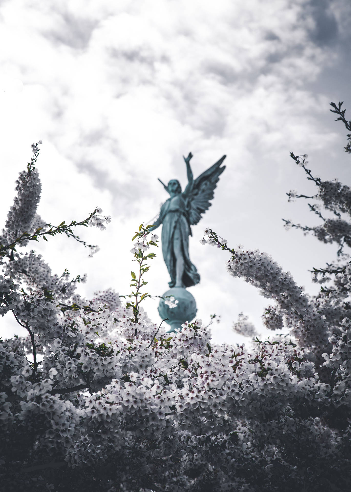 Angels In Heaven White Flowers Statue Background