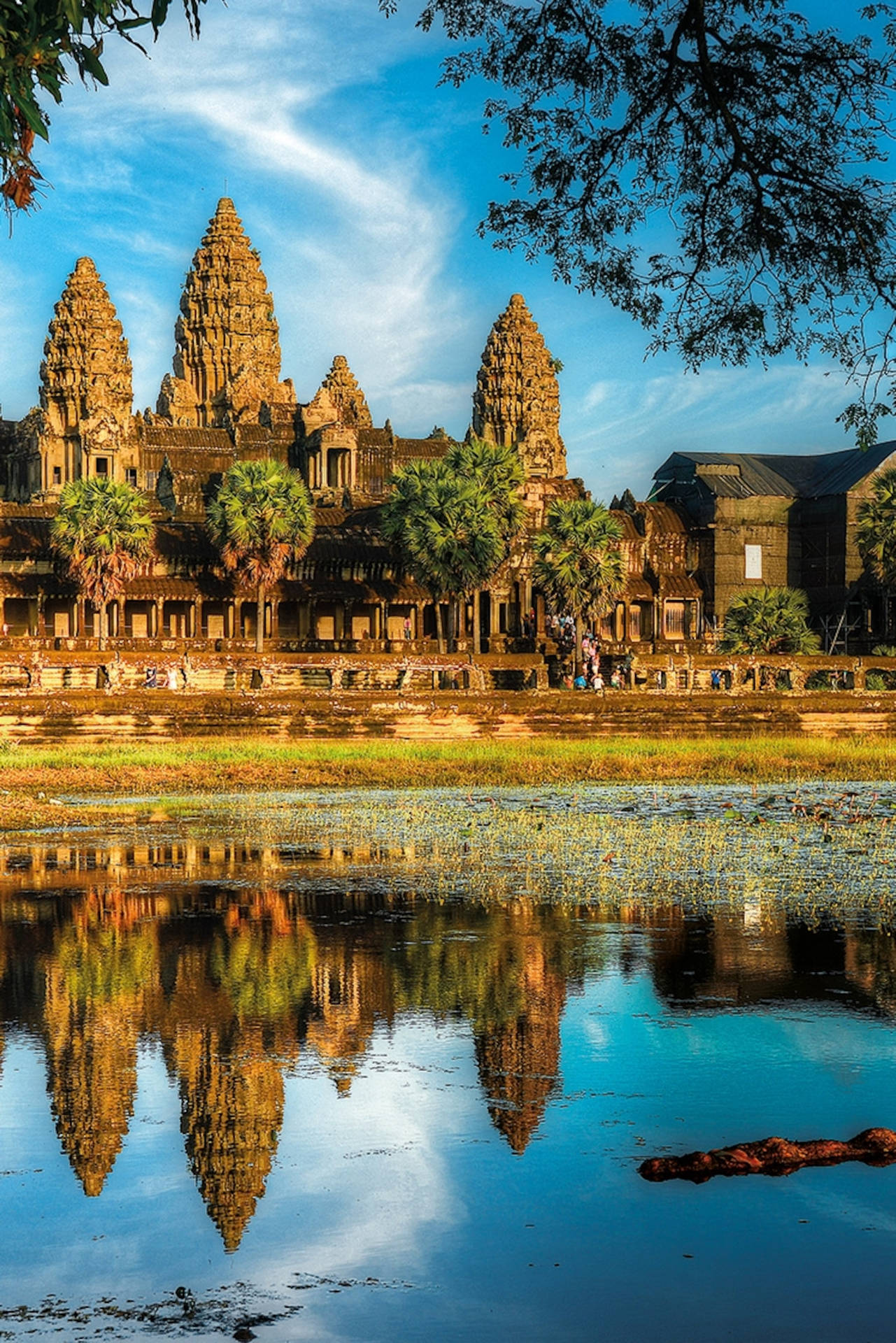 Angkor Wat With Water Reflection Background