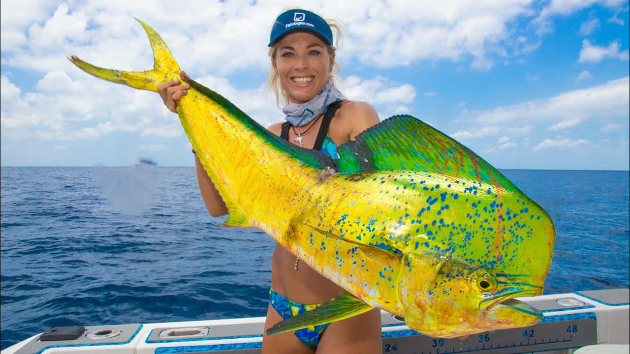 Anglerwith Caught Mahi Mahi Background