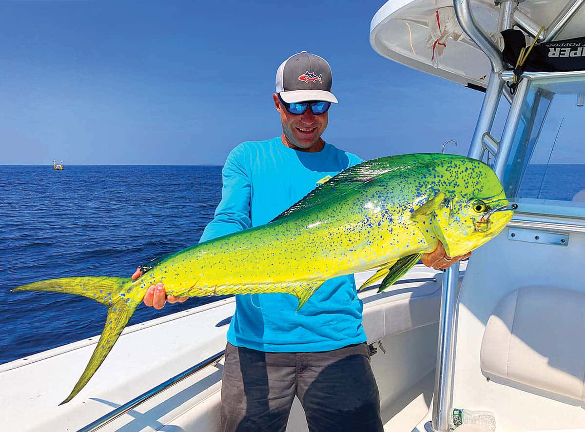 Anglerwith Caught Mahi Mahi Background