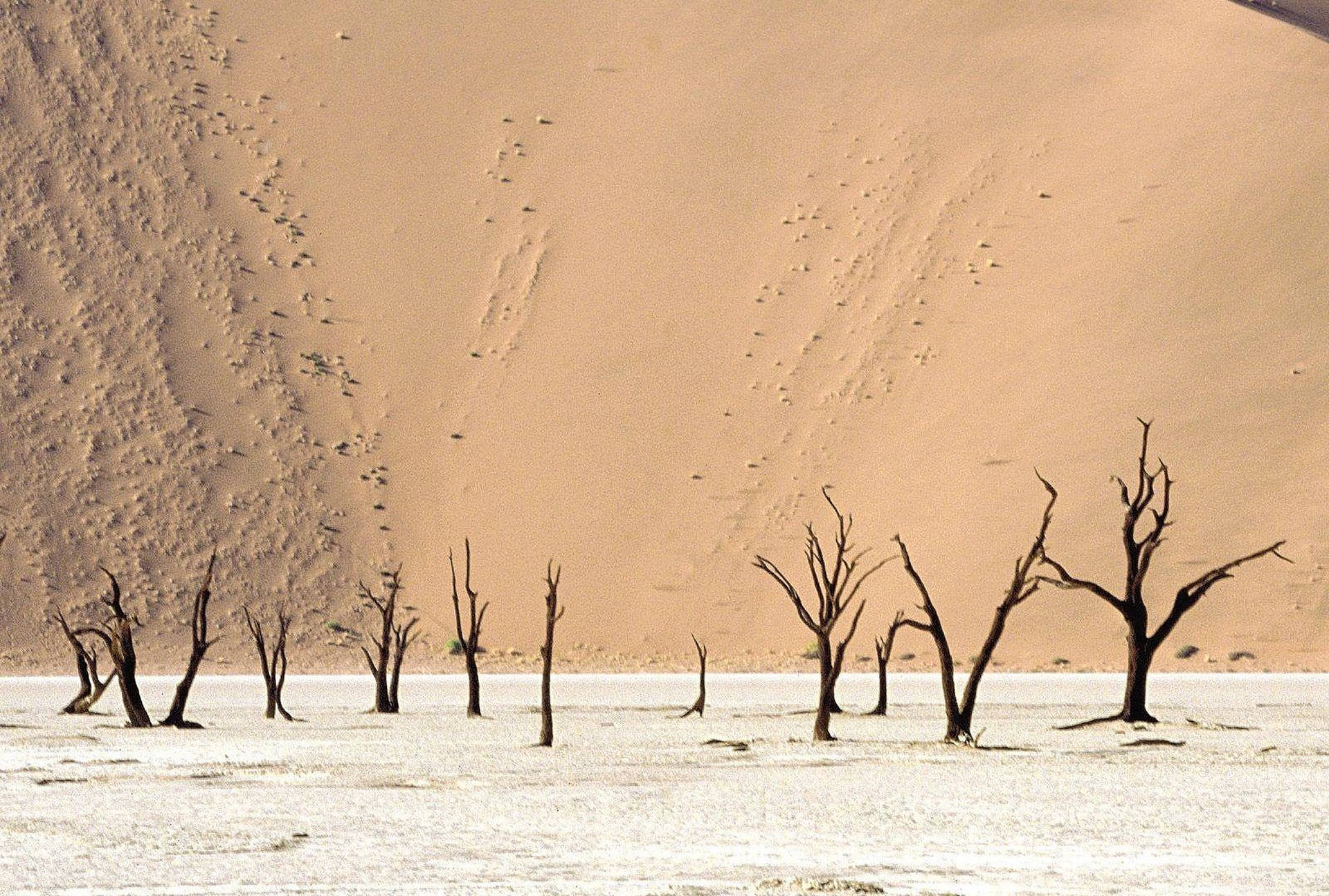 Angola Desert In Winter