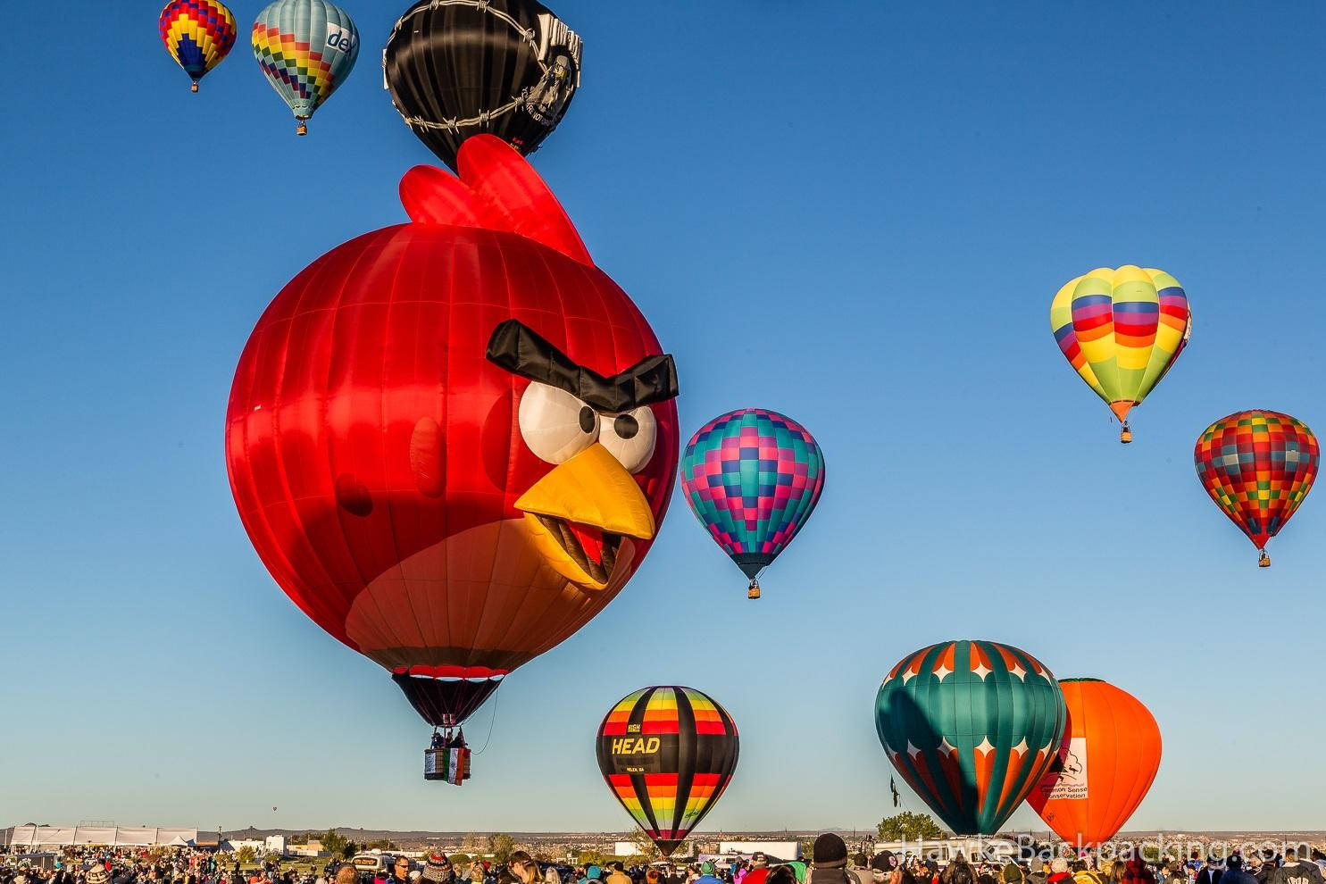 Angry Bird Balloon Albuquerque Background